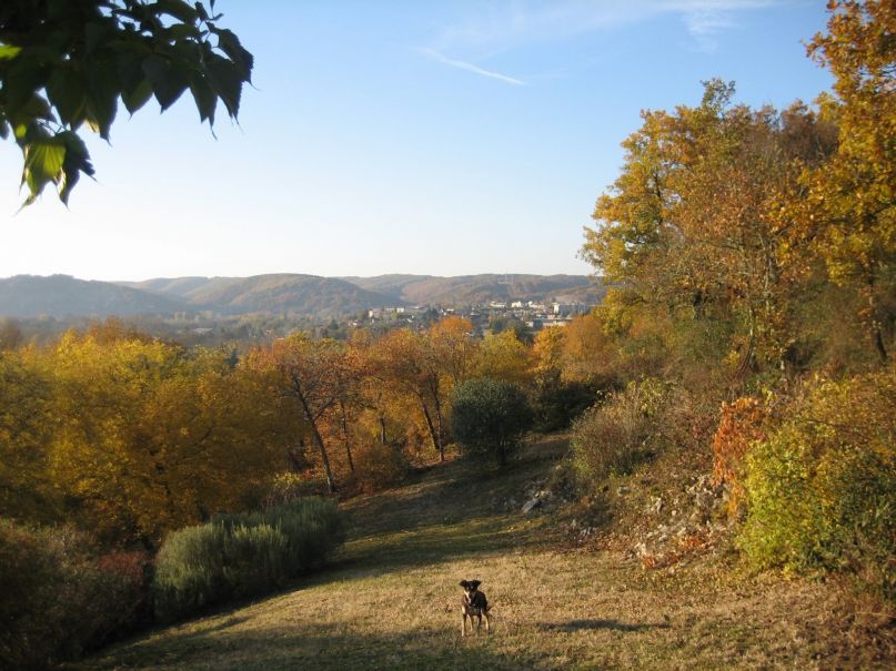 - image: 19