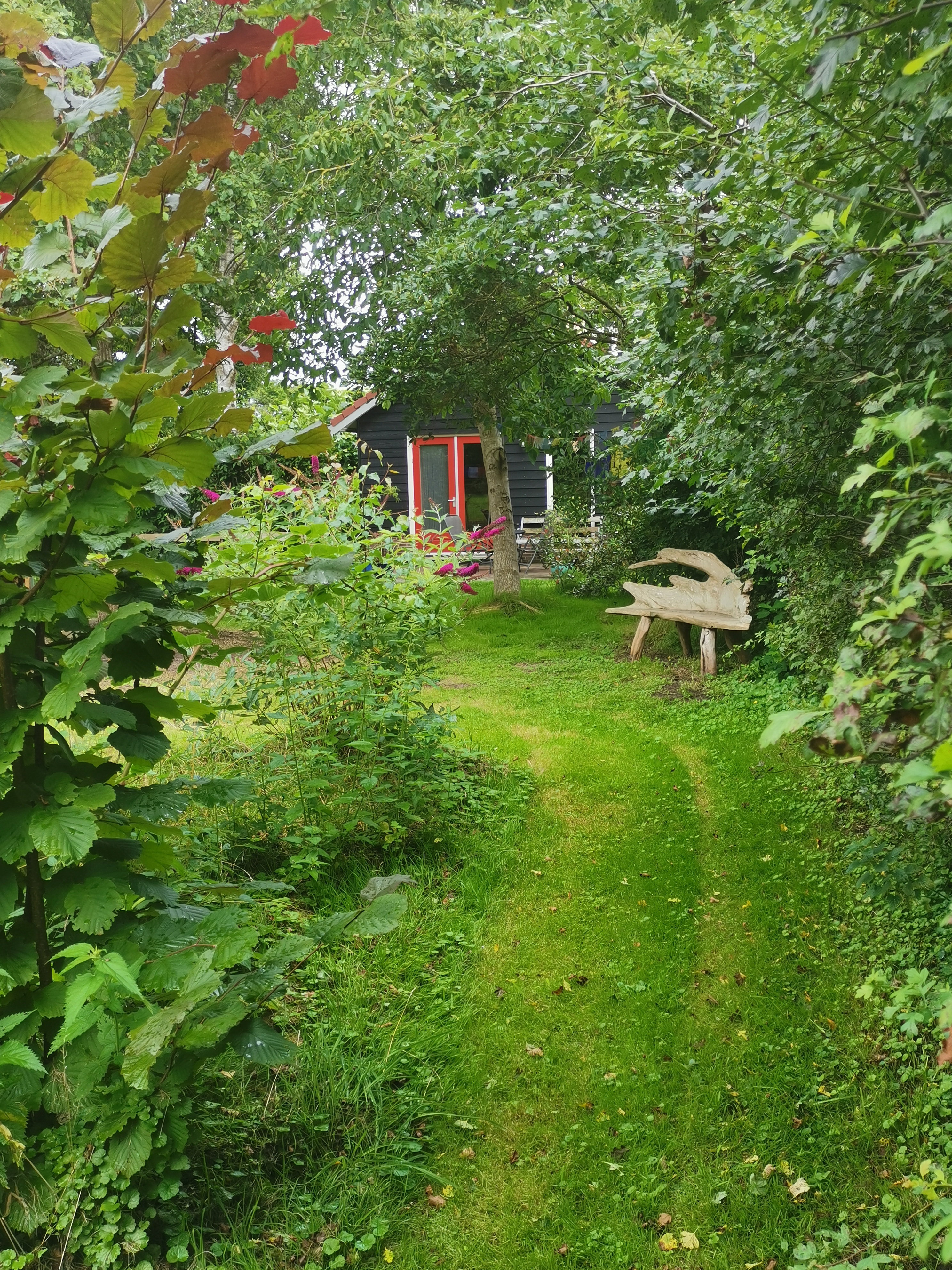 Maison nature à Welsum
