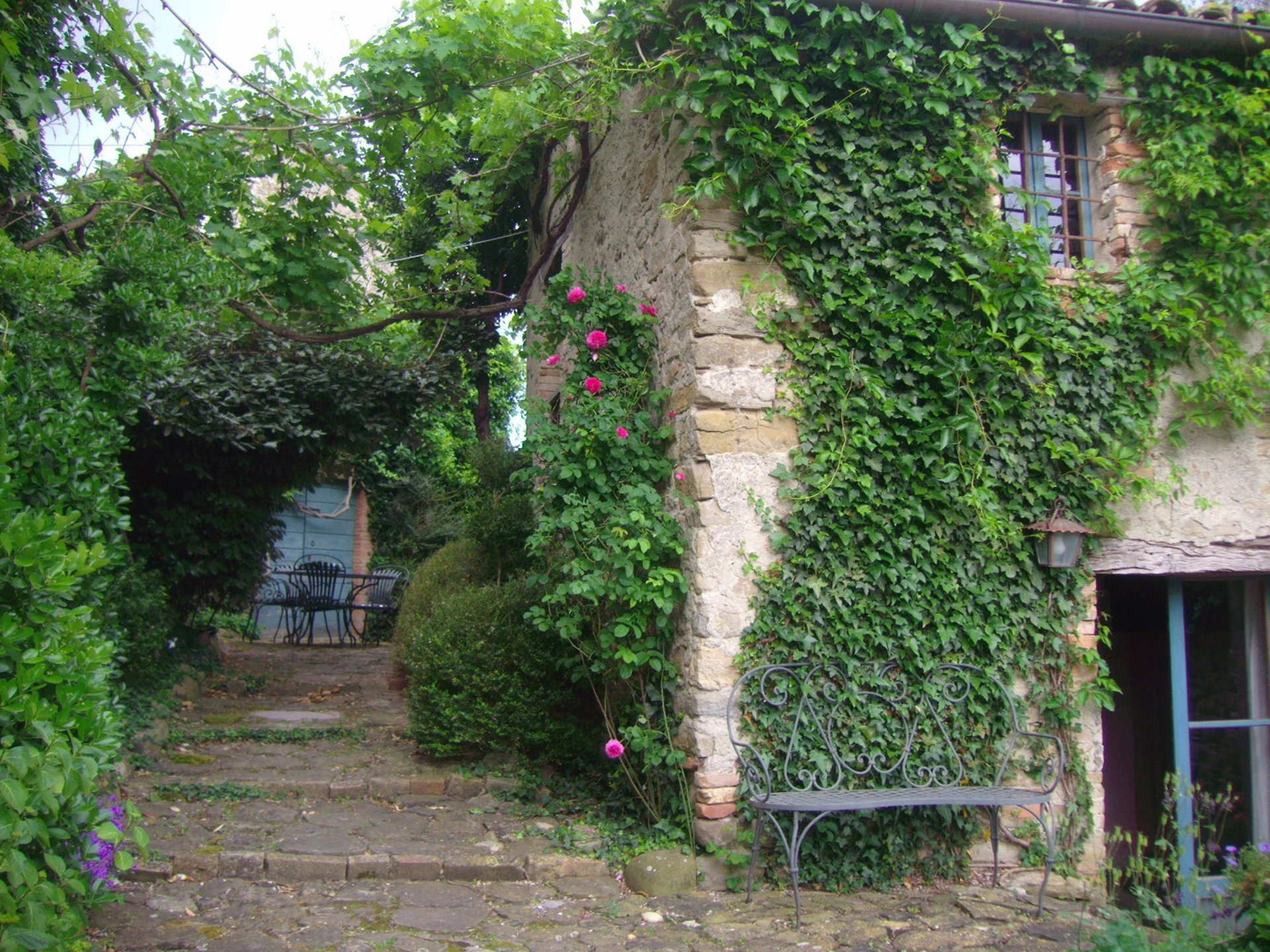 - image: 20