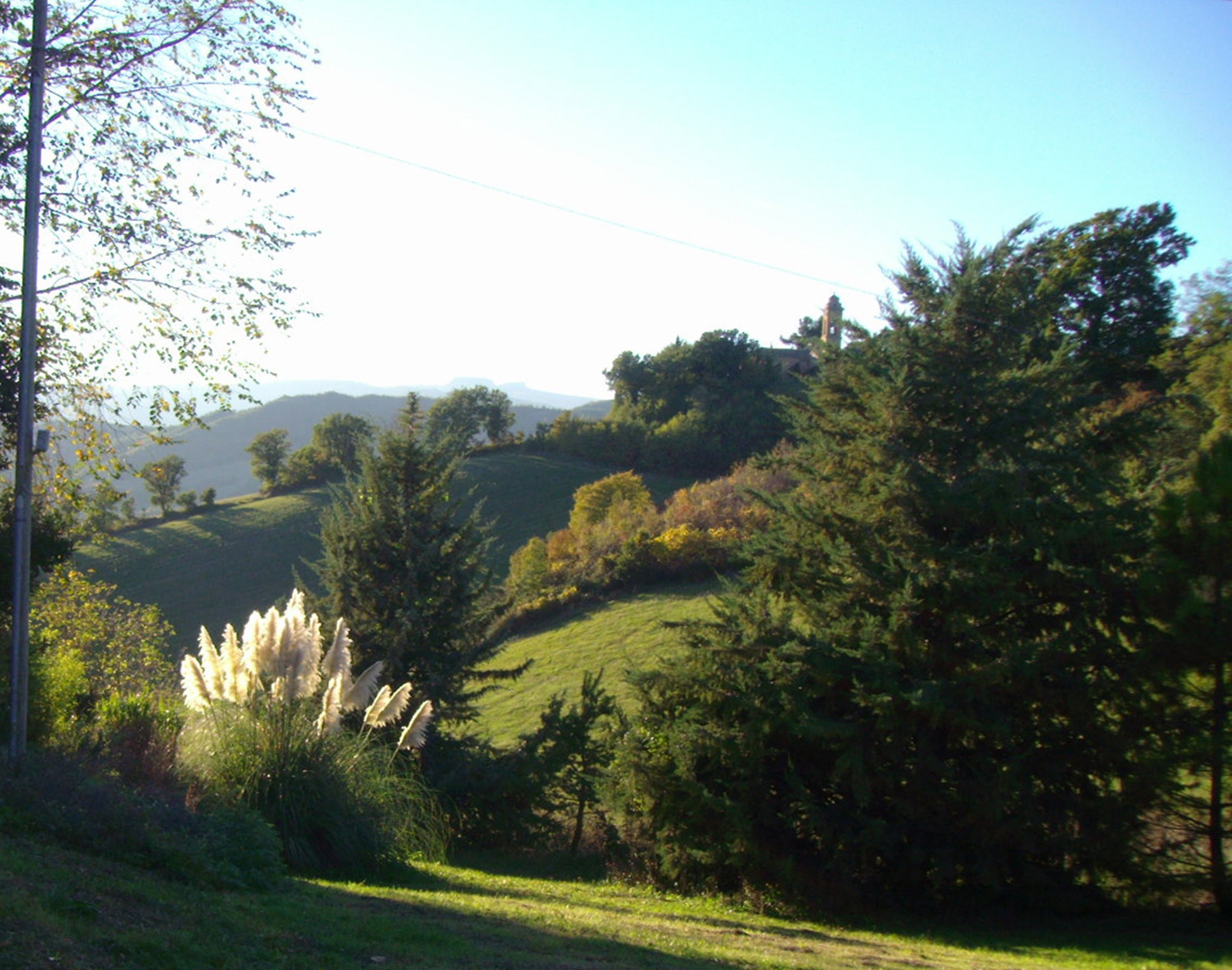 - image: 29