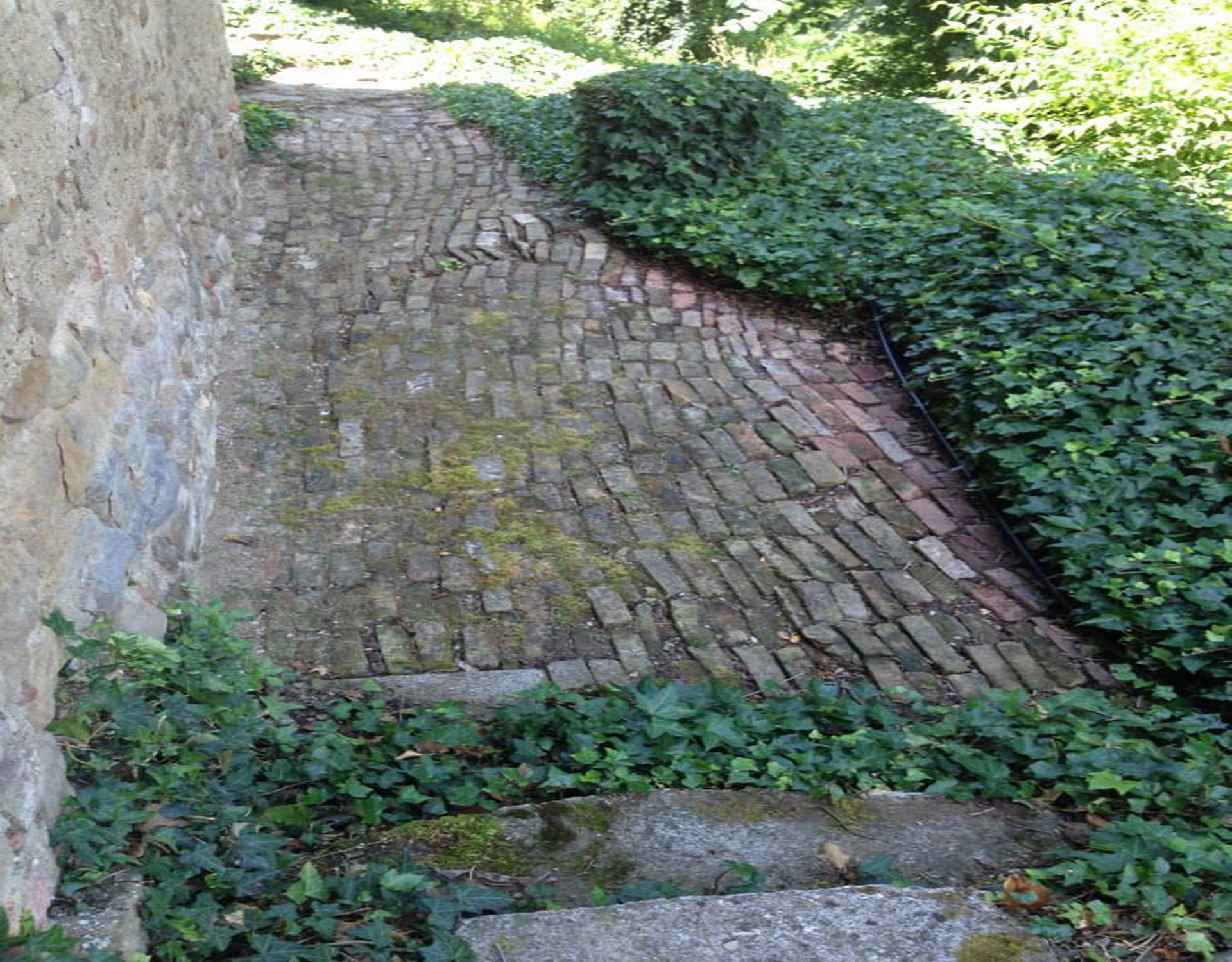 - image: 24