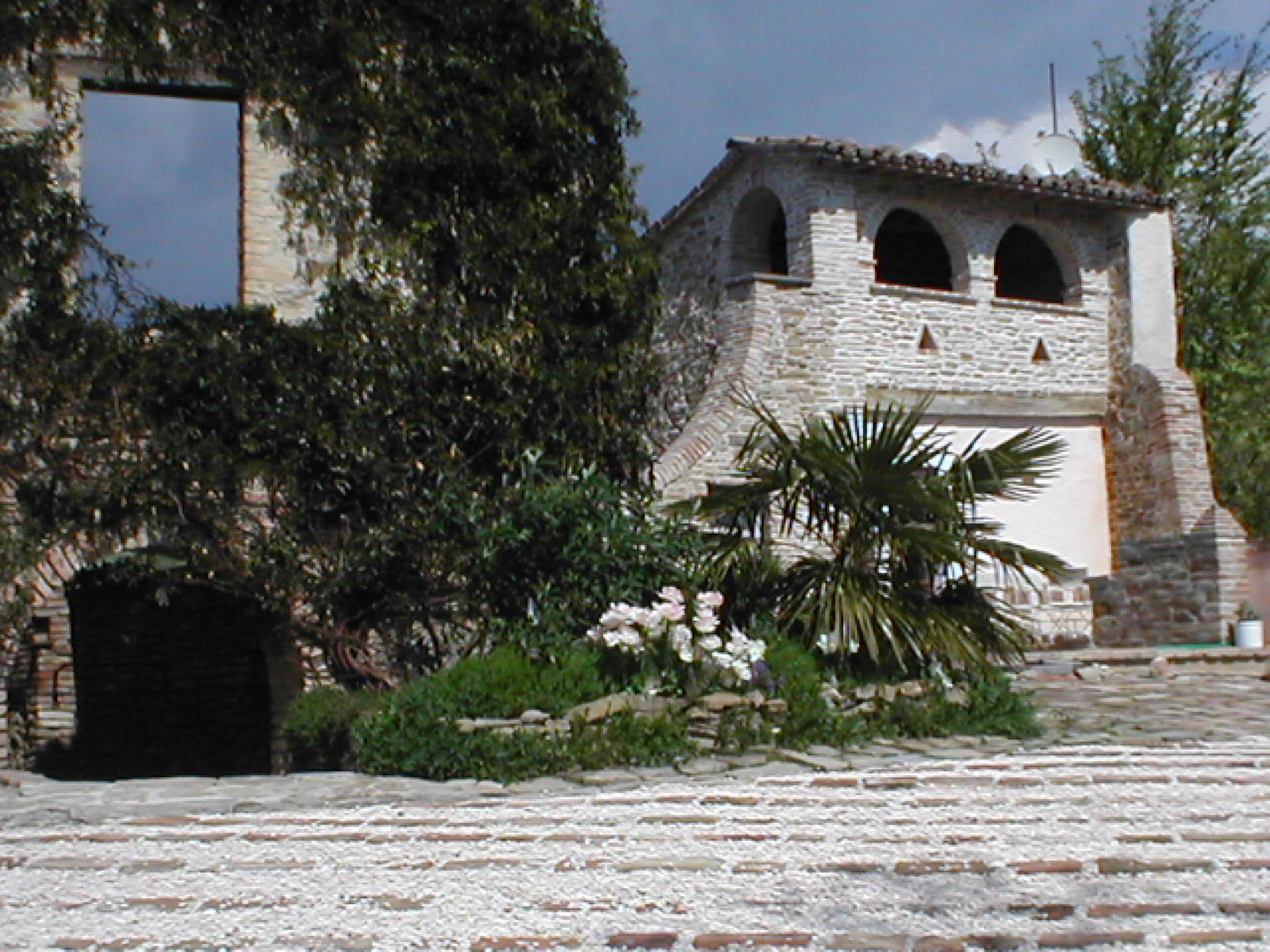 - image: 1