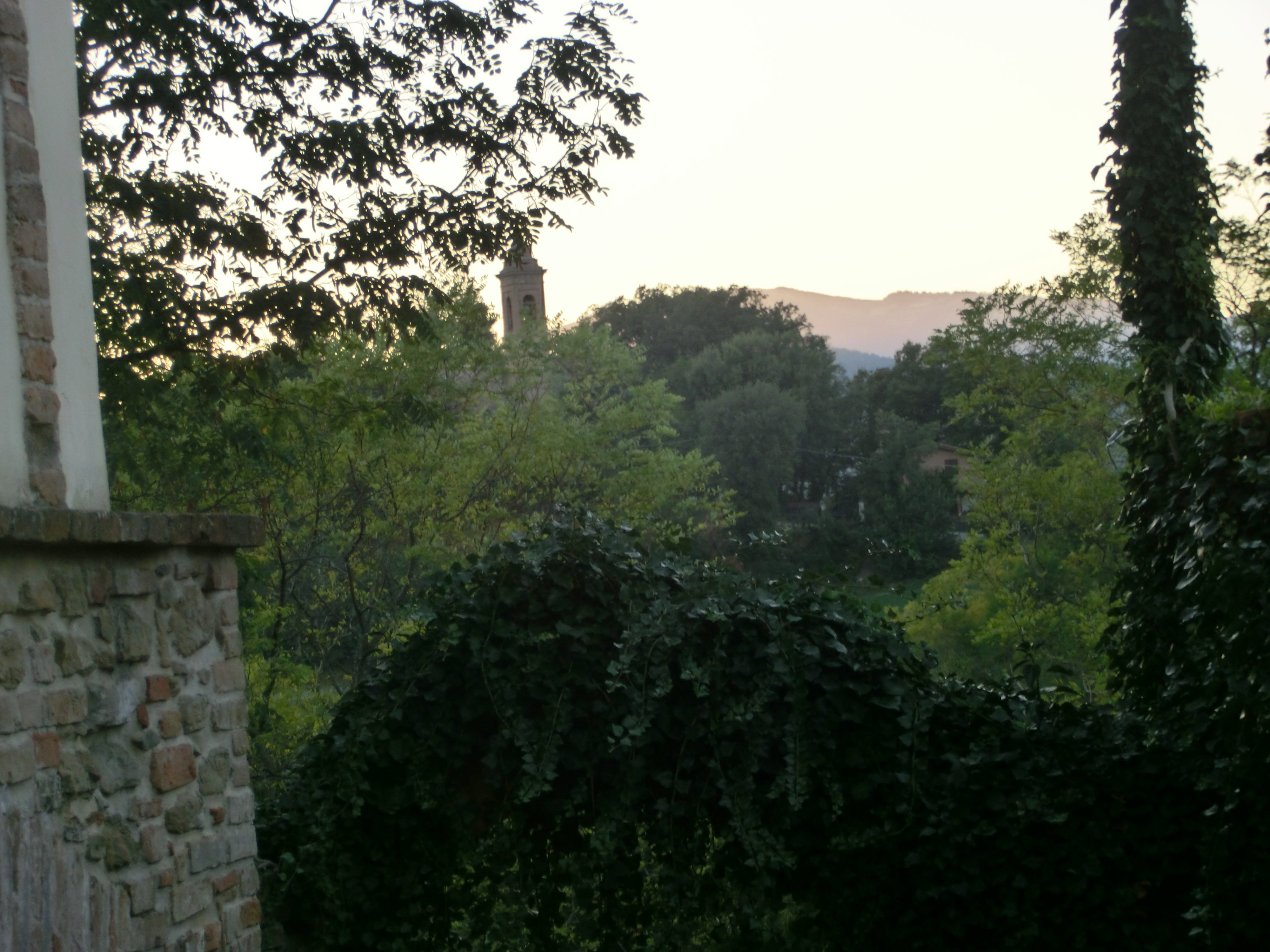 - image: 26