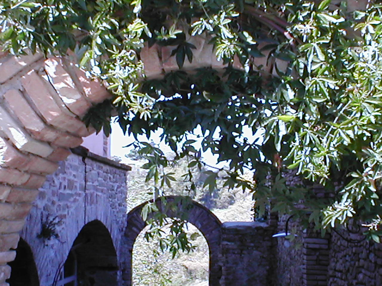 - image: 15