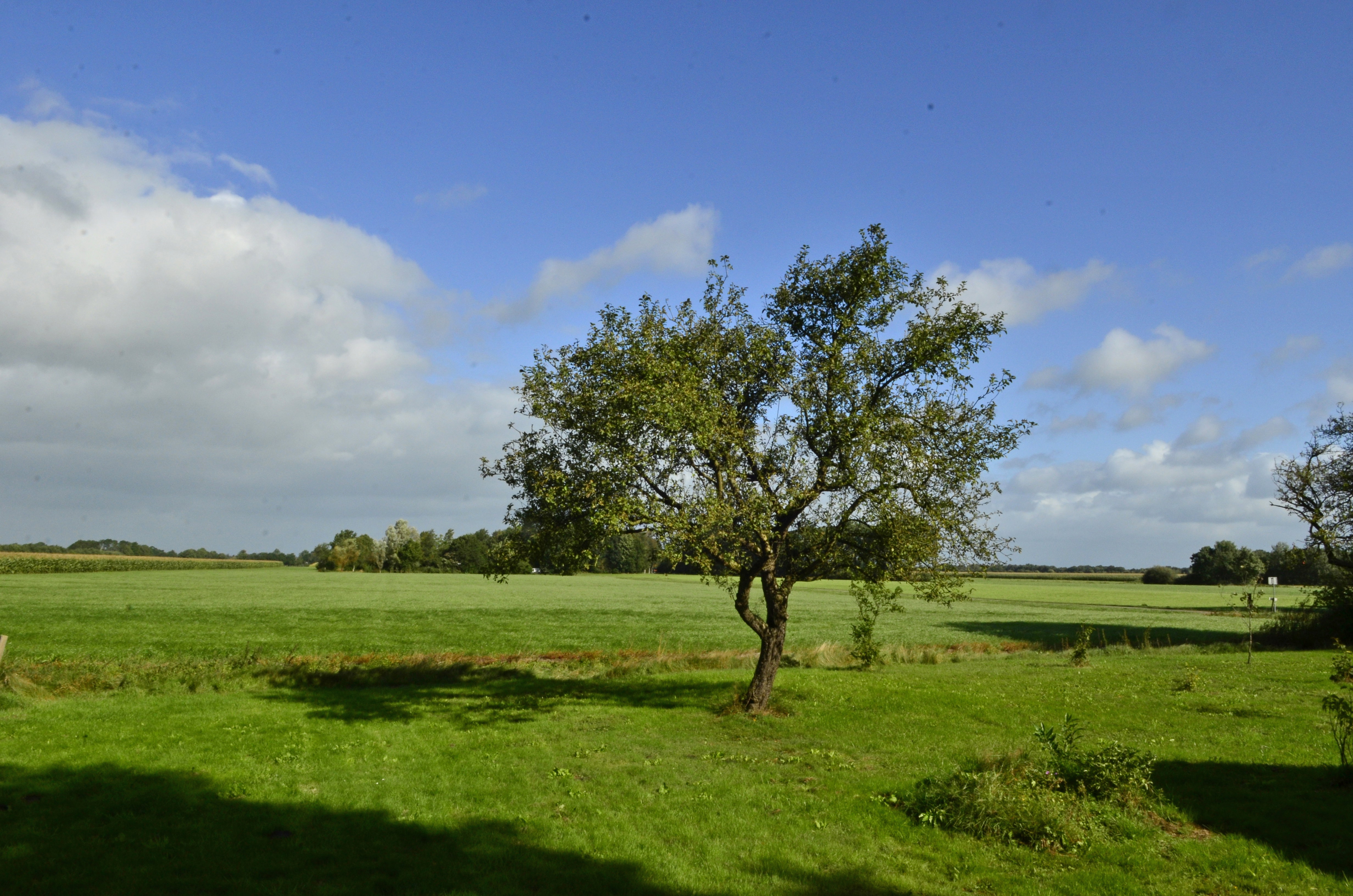 Nature house in Wapserveen