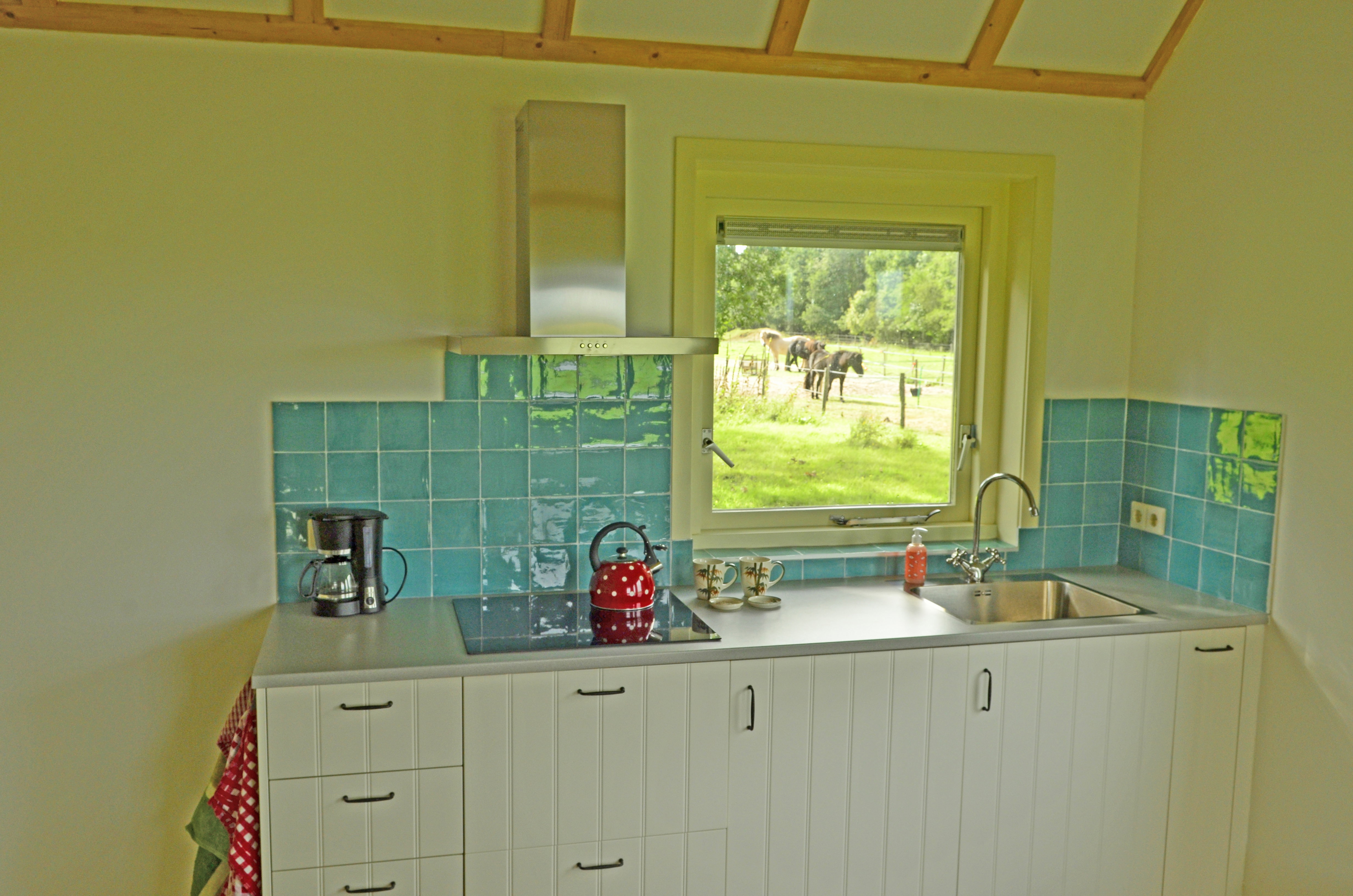 Nature house in Wapserveen