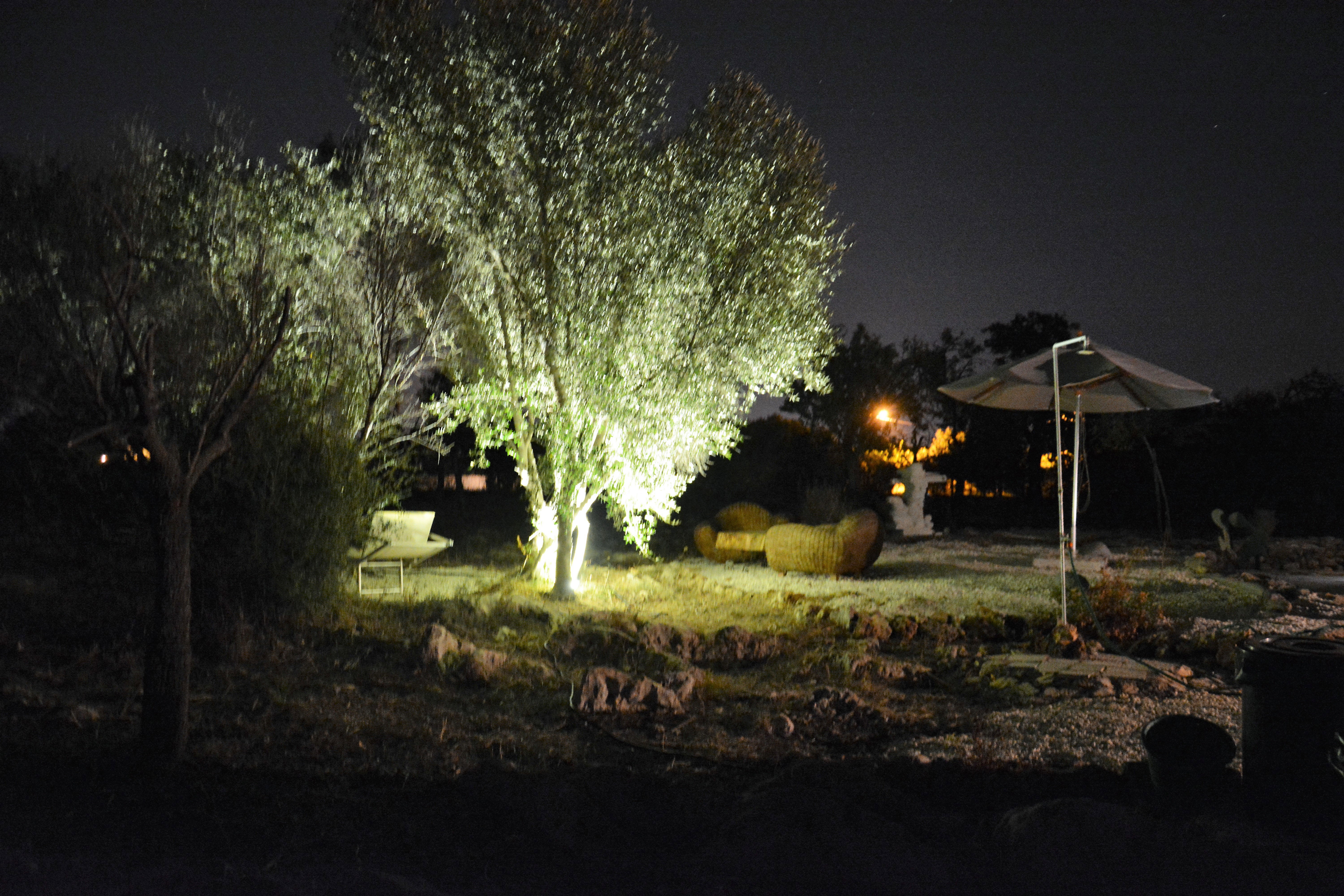 - image: 41
