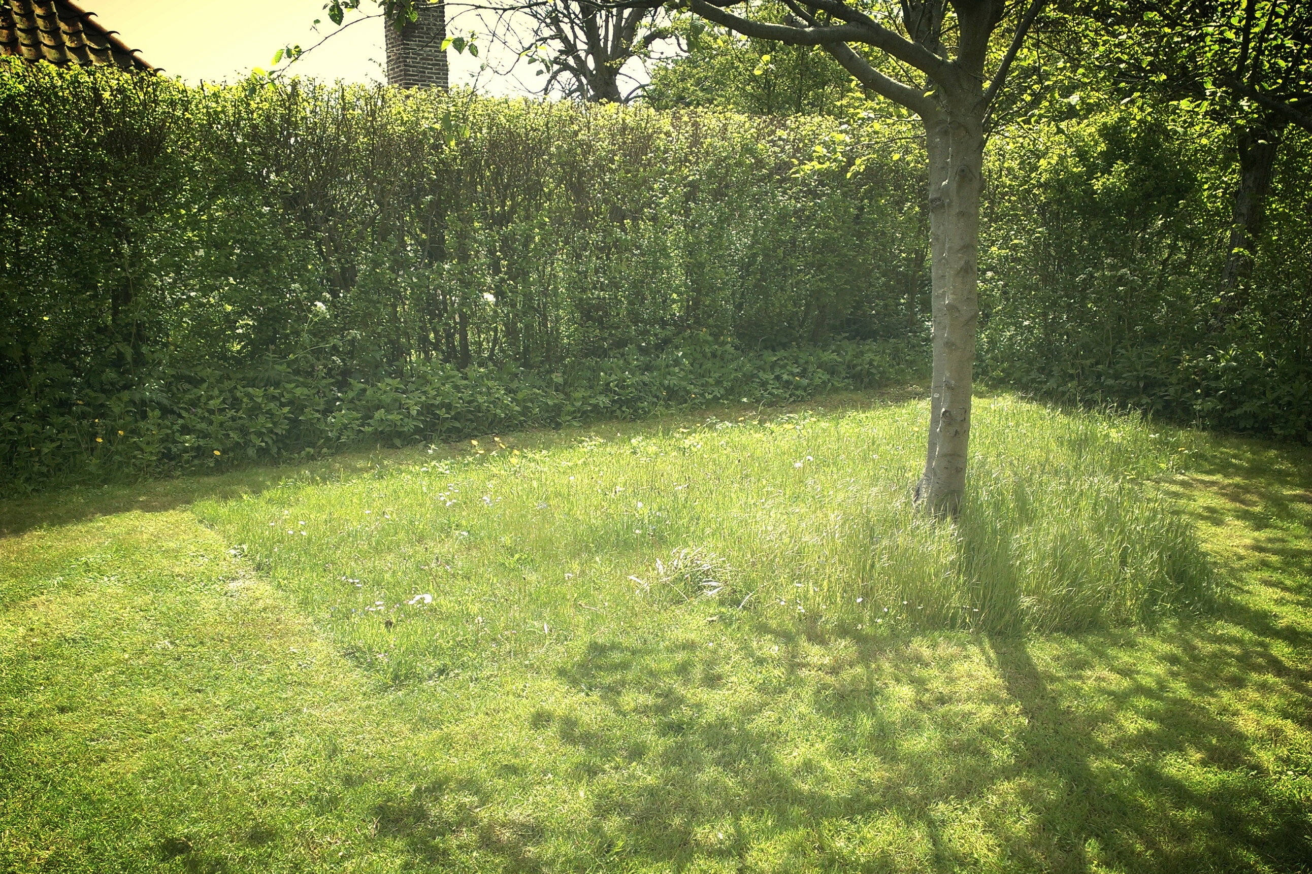 Naturhäuschen in Egmond aan den Hoef