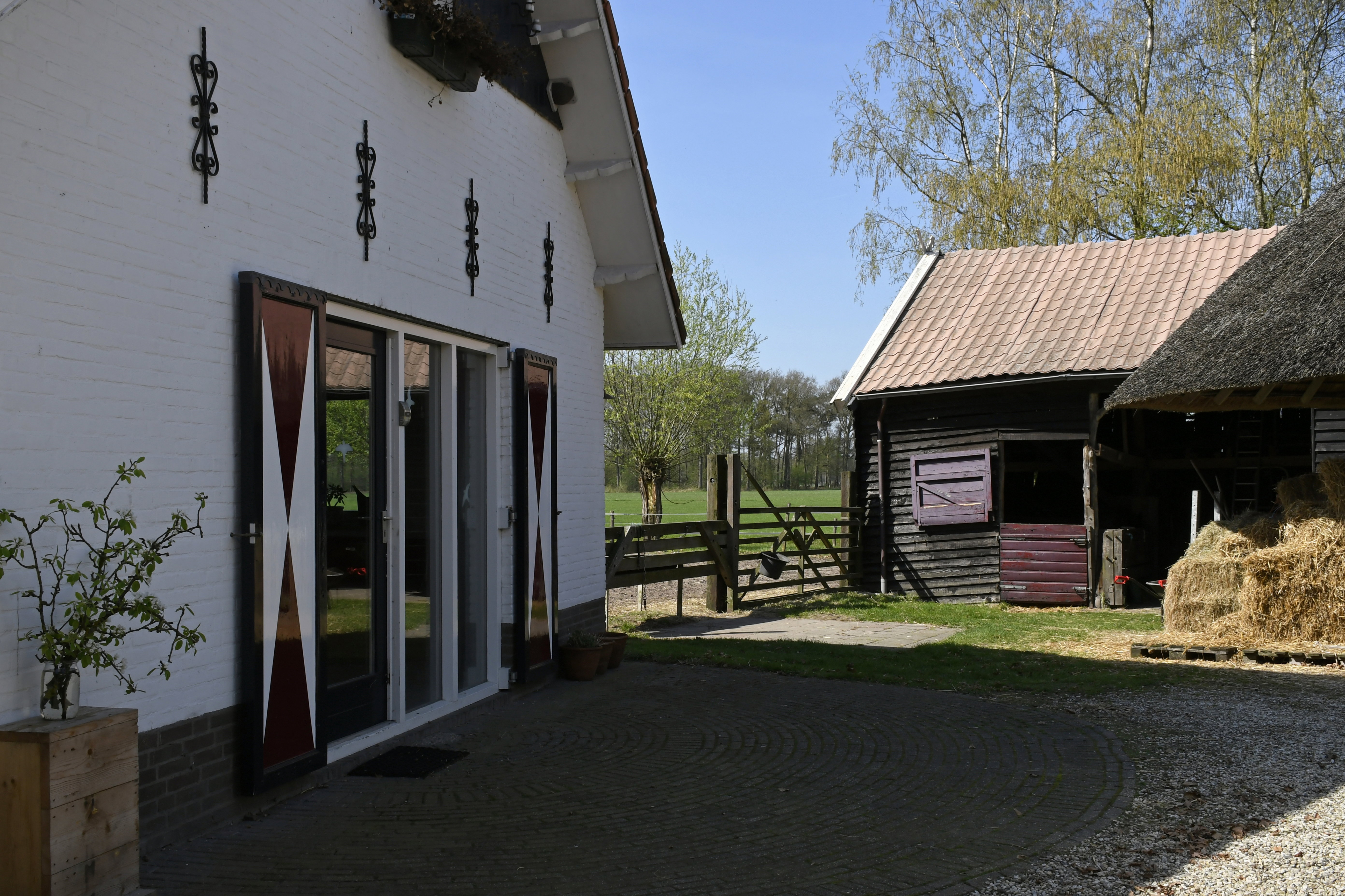 - image: 20