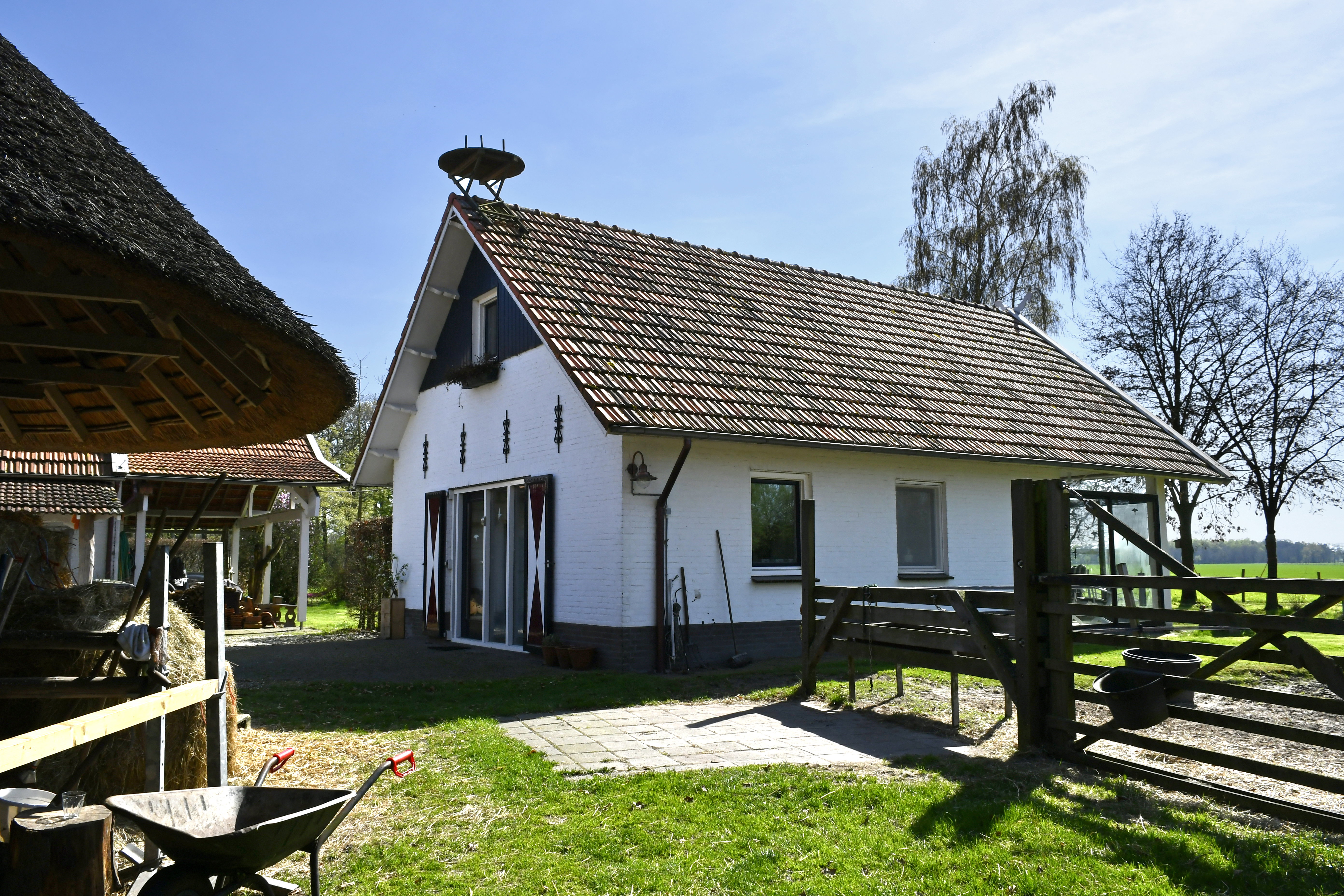 - image: 2