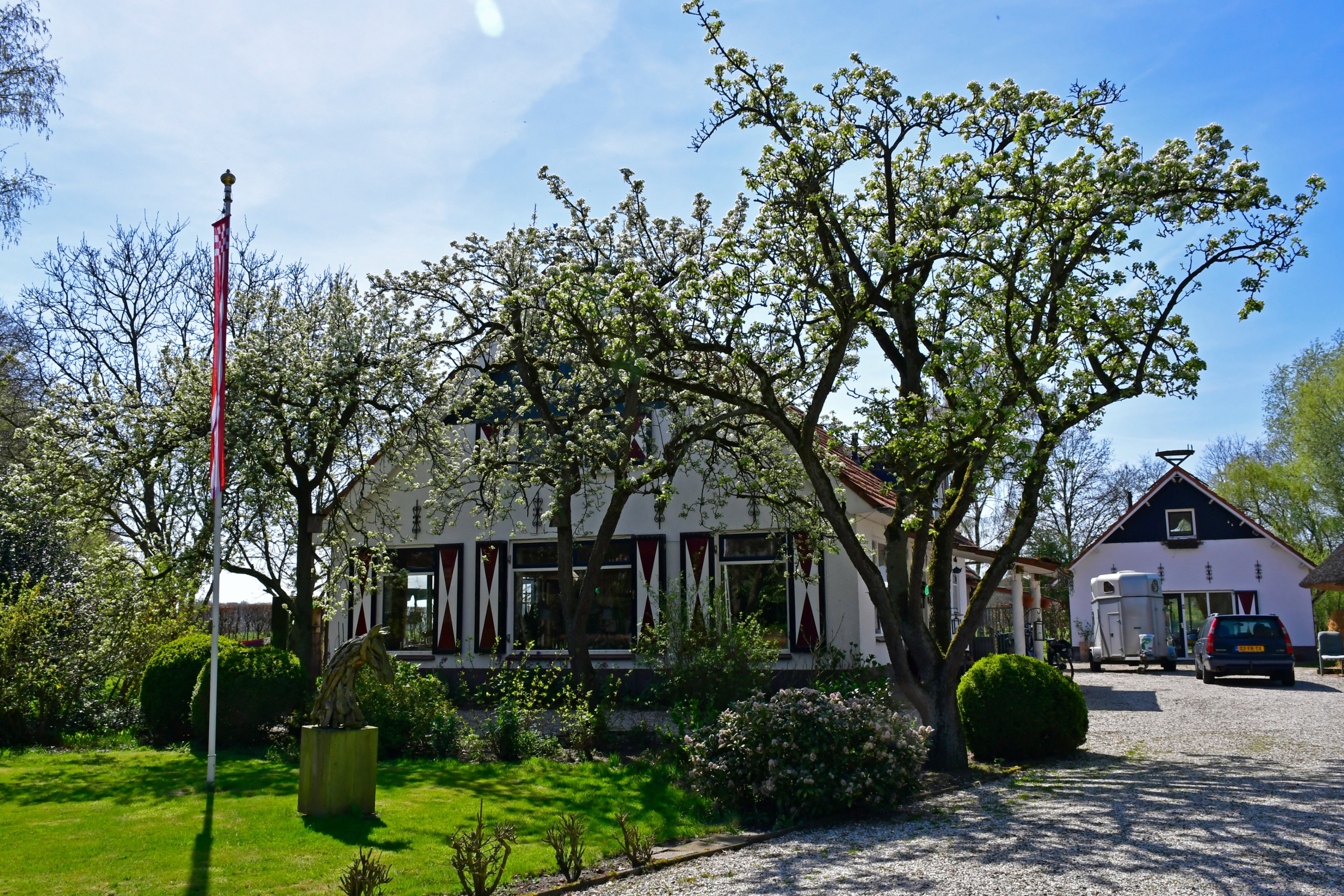 - image: 25