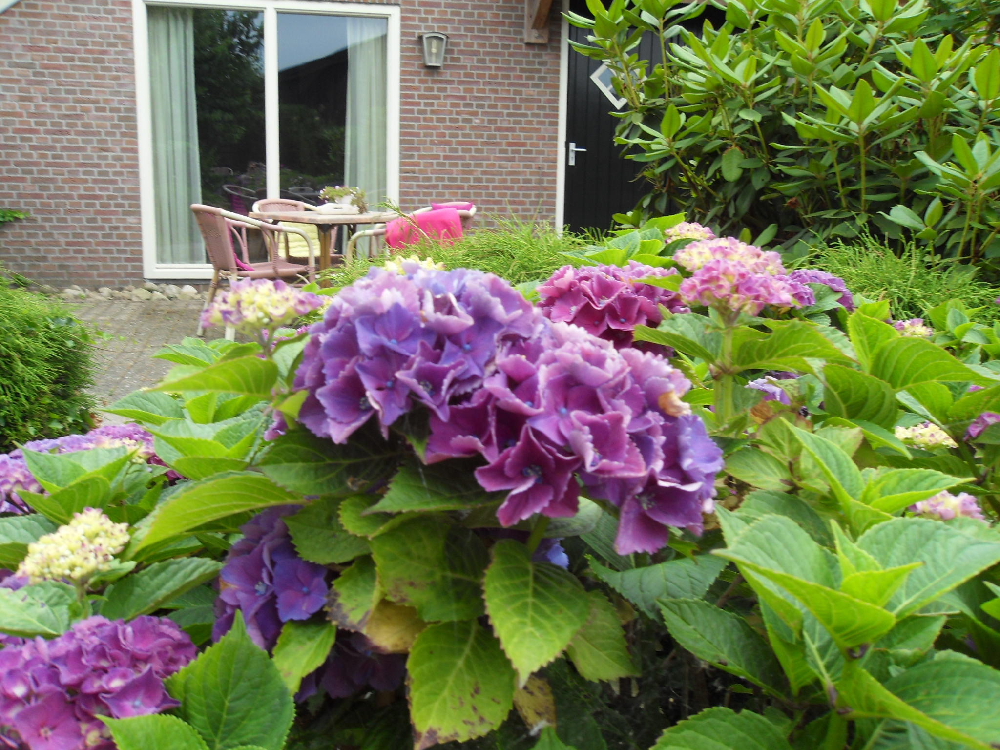 Nature house in Dwingeloo