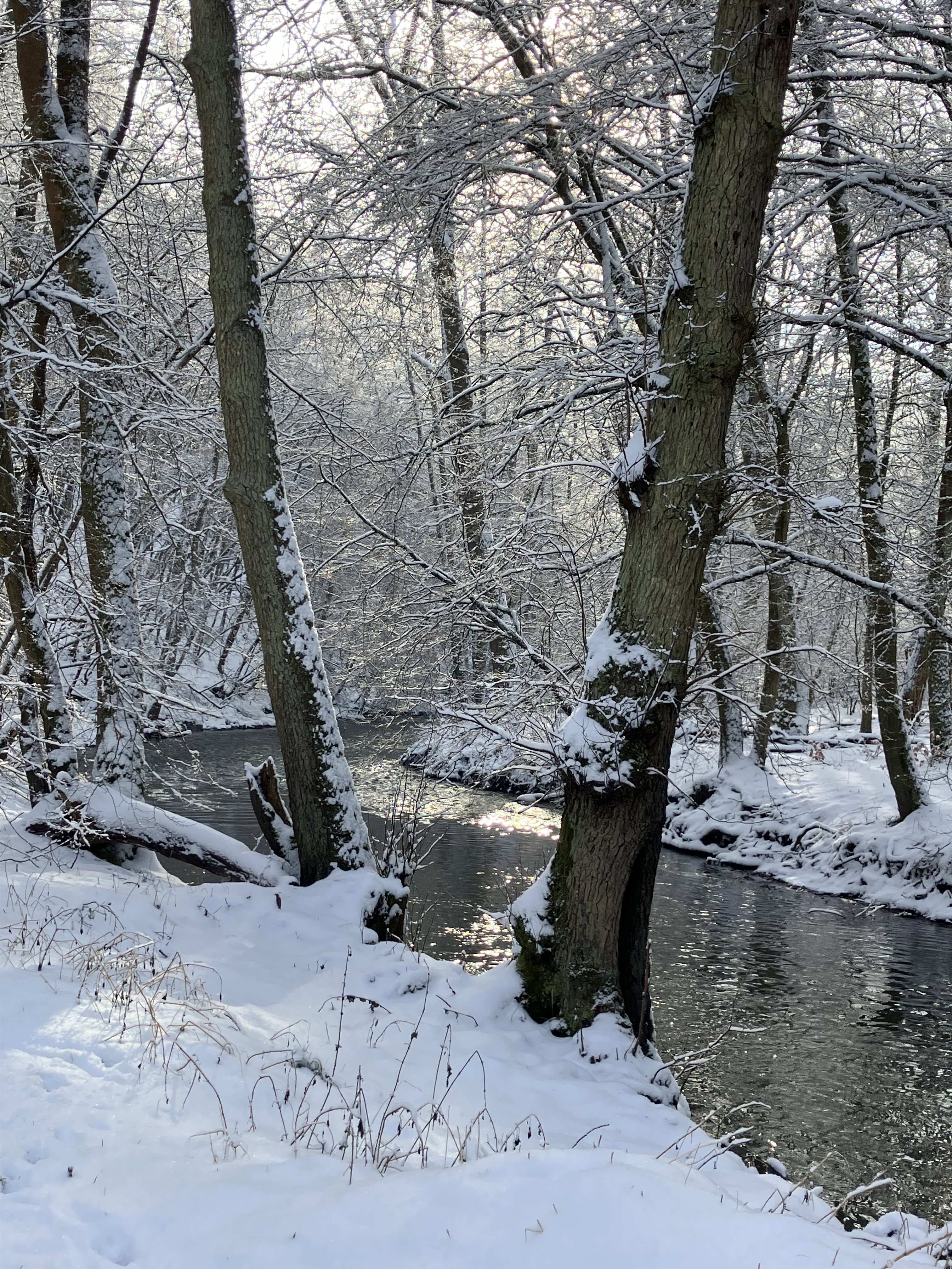 Naturhäuschen in Kollig
