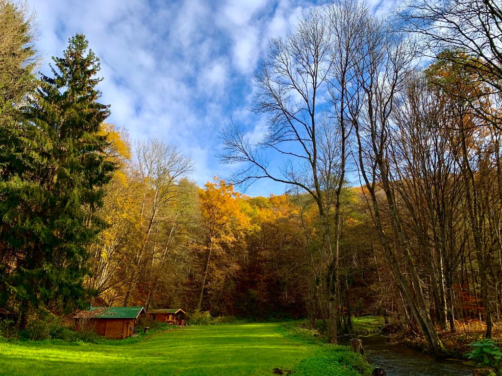Maison nature à Kollig
