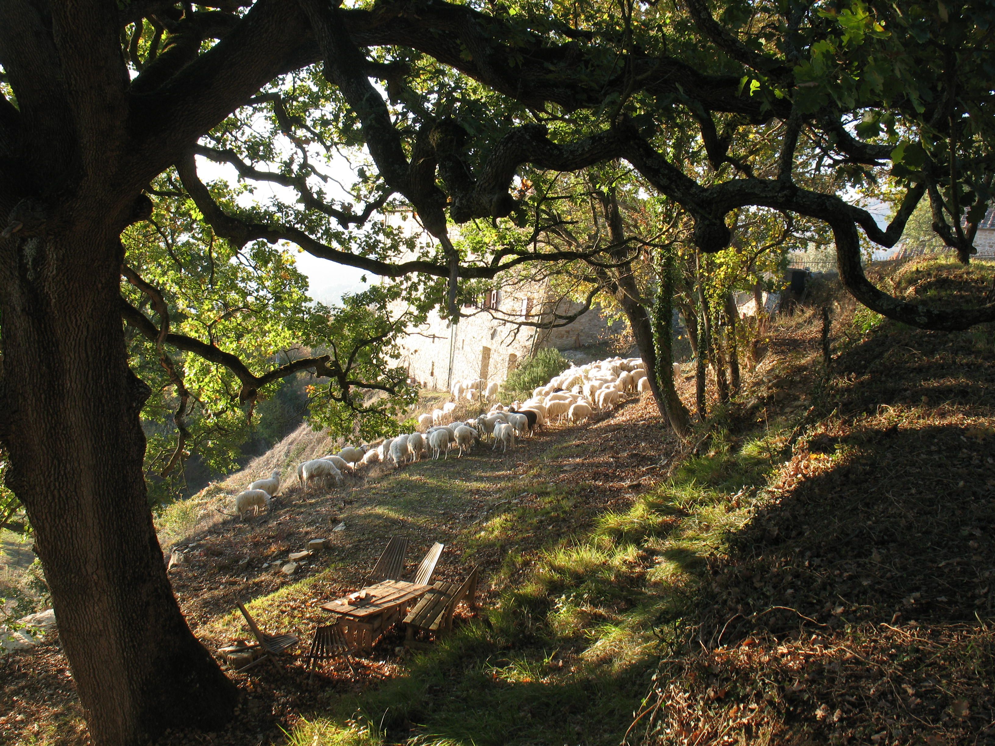 Nature house in Castelnuovo di val di Cecina