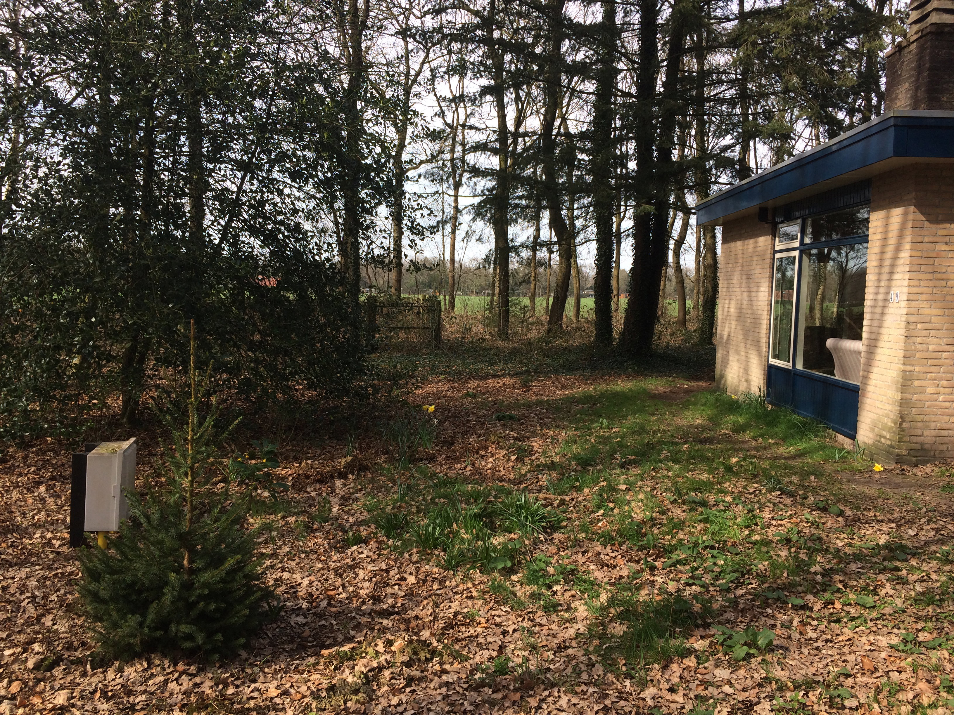 Maison nature à Wateren (Westerveld)