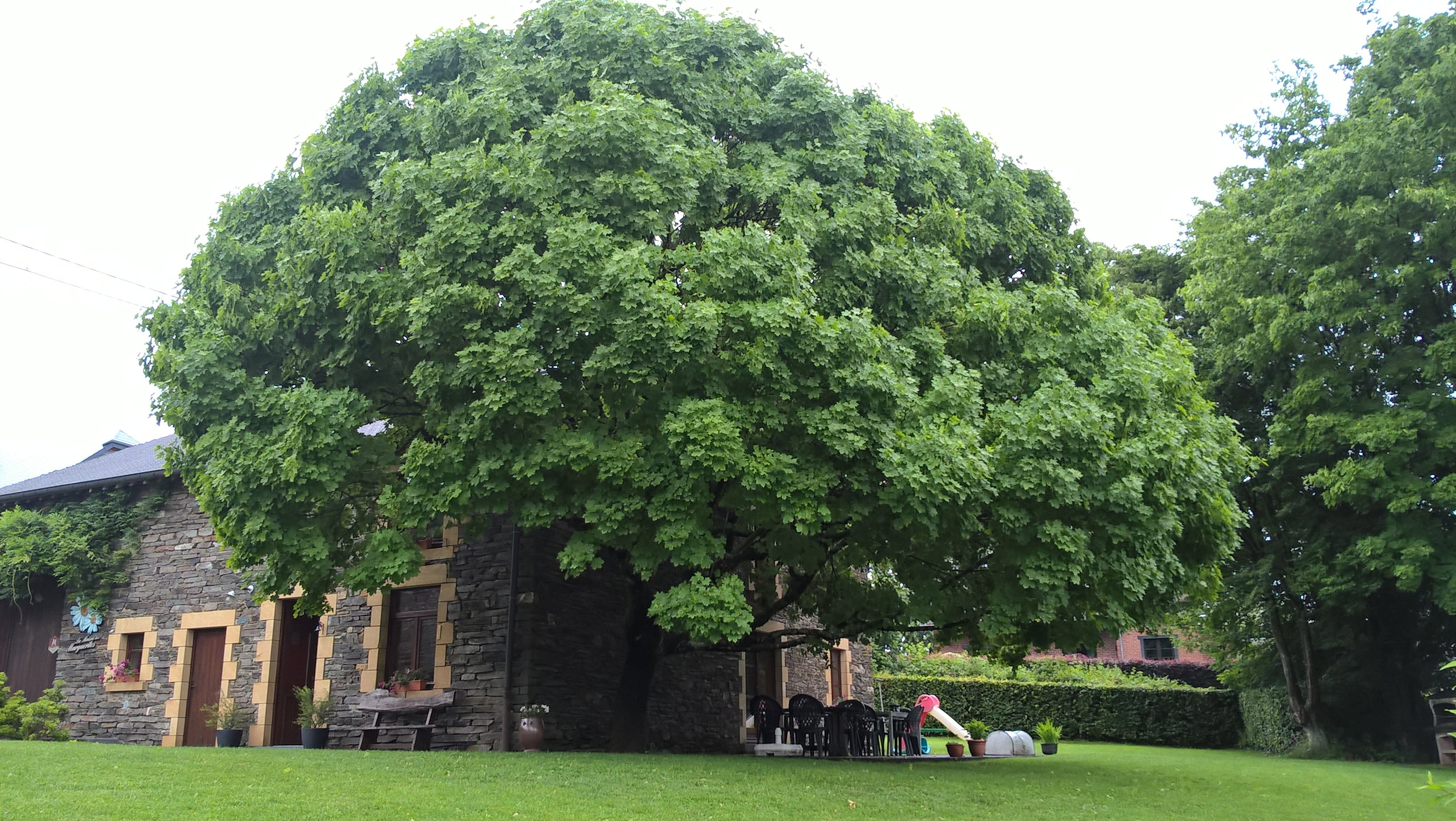Natuurhuisje in Vresse-Sur-Semois