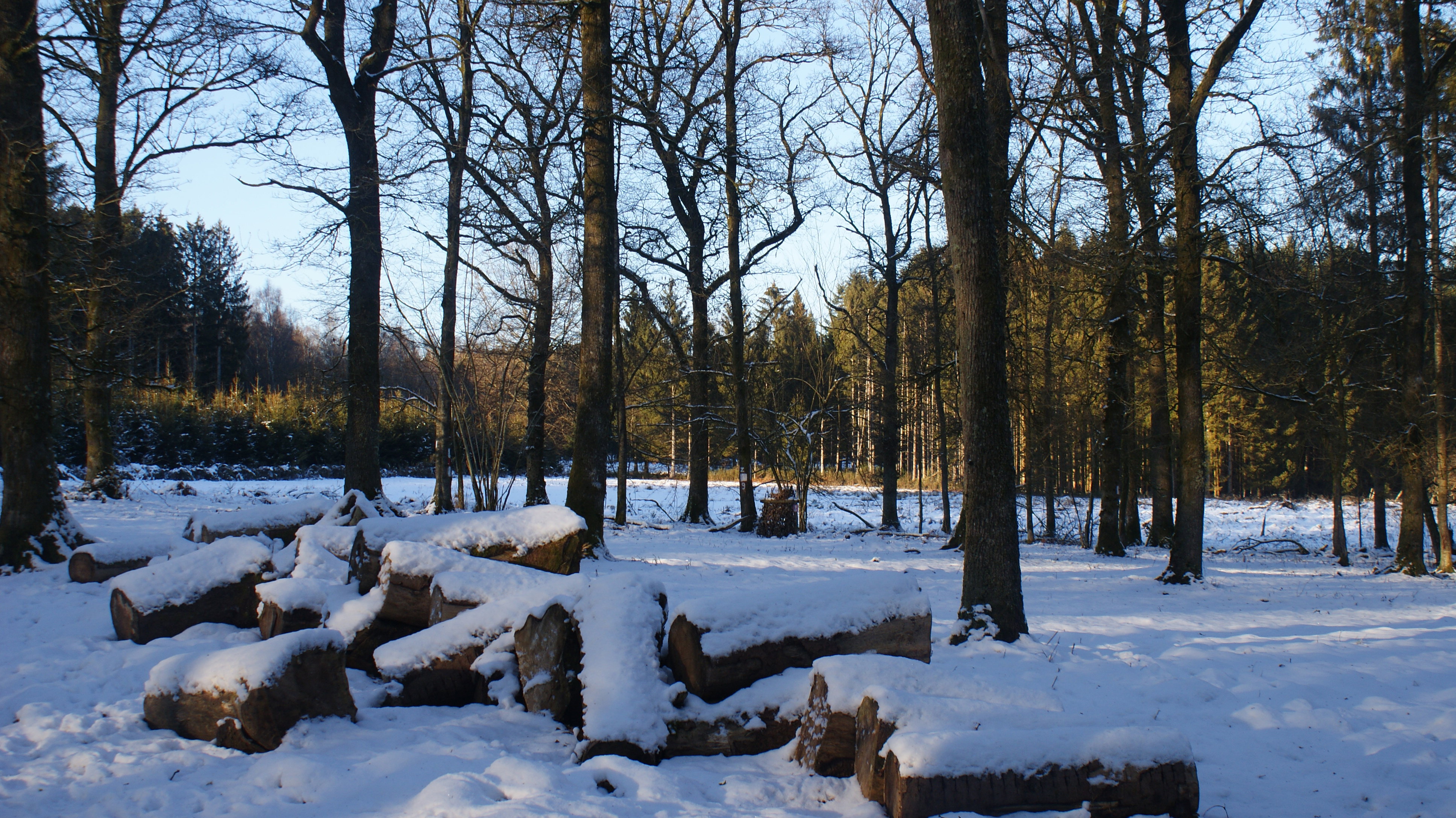 - image: 48