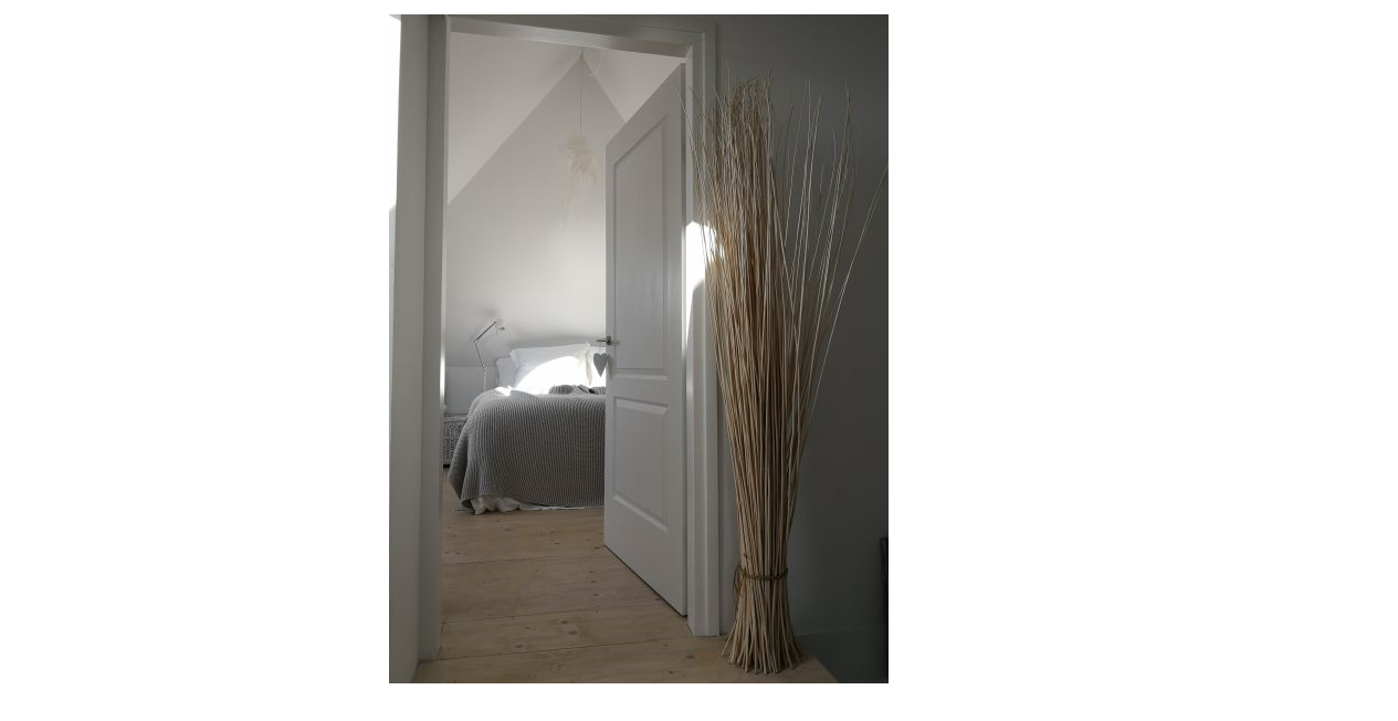 - image: 11
