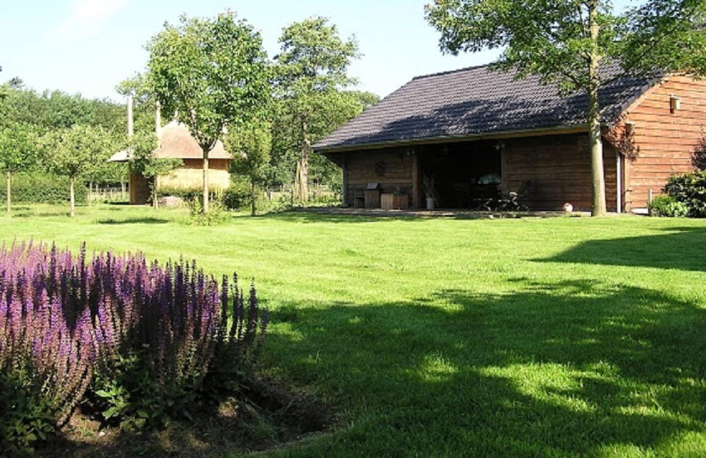 - image: 13