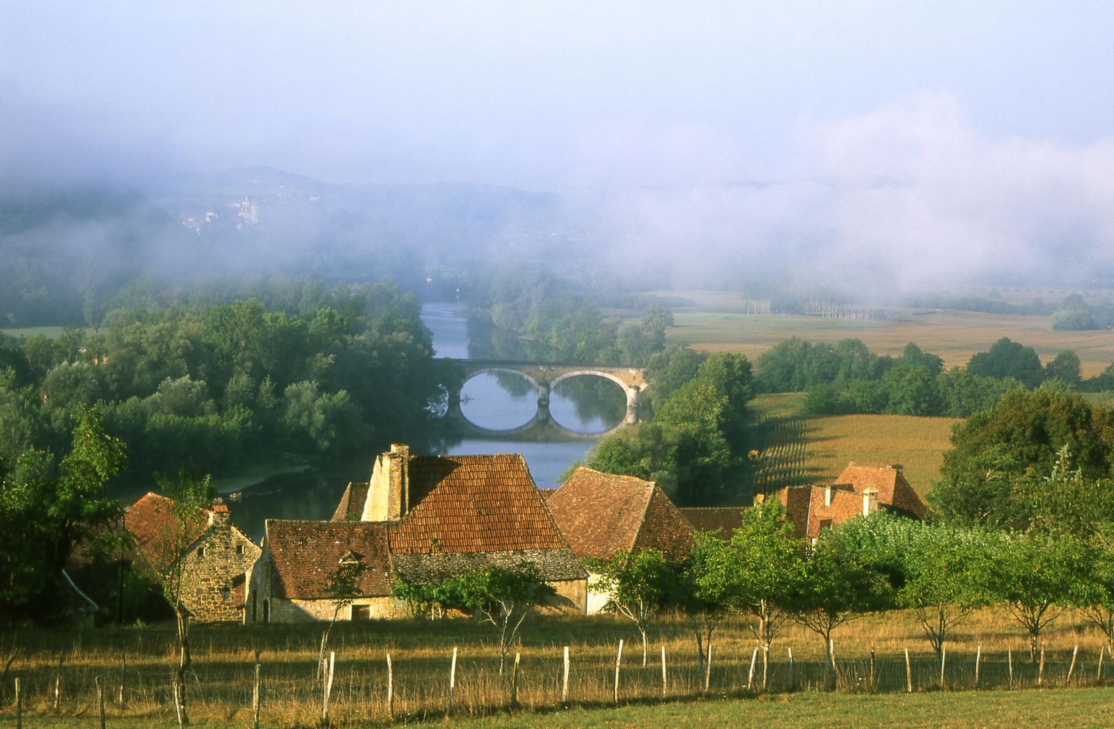- image: 29