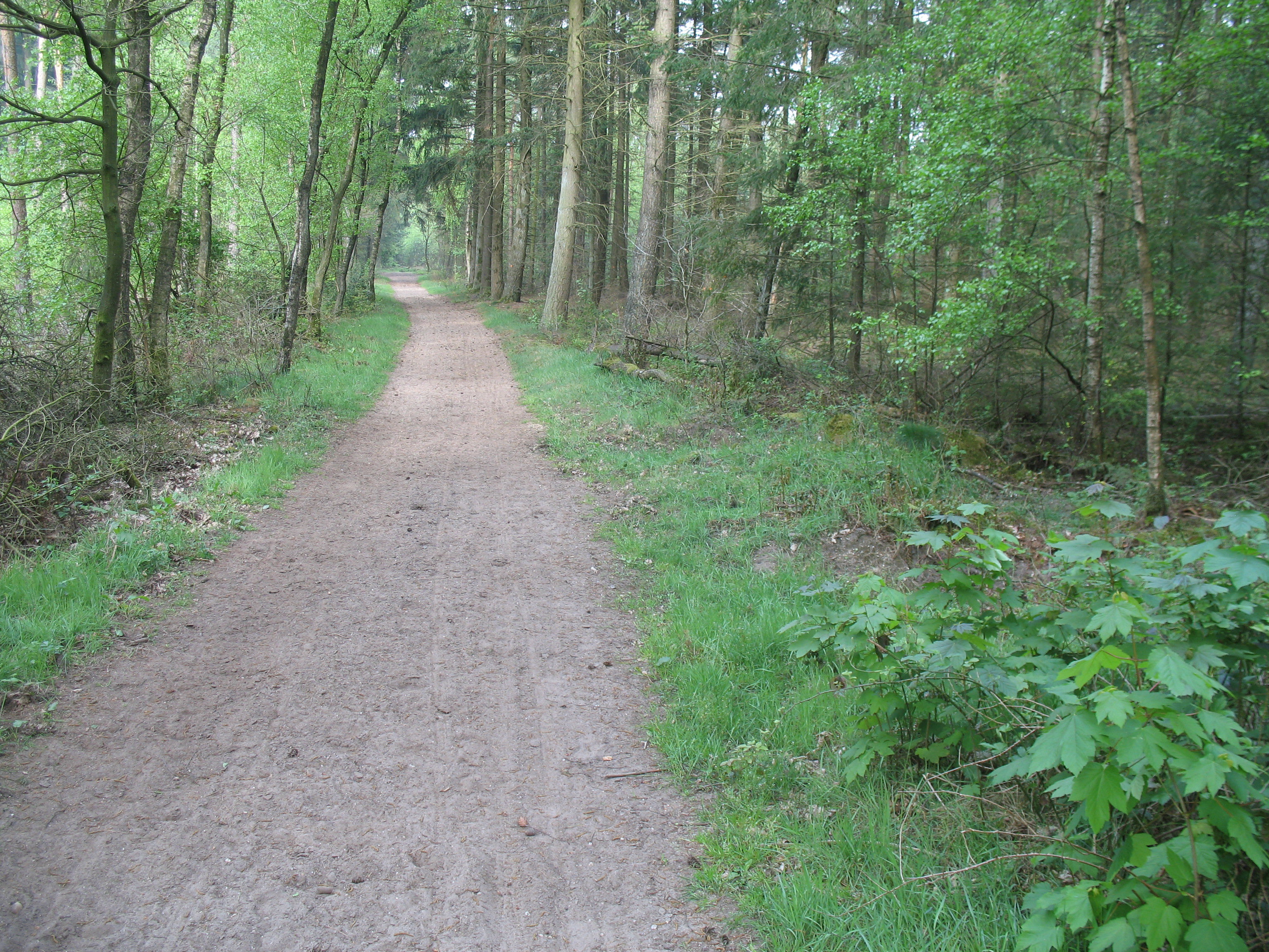 - image: 13