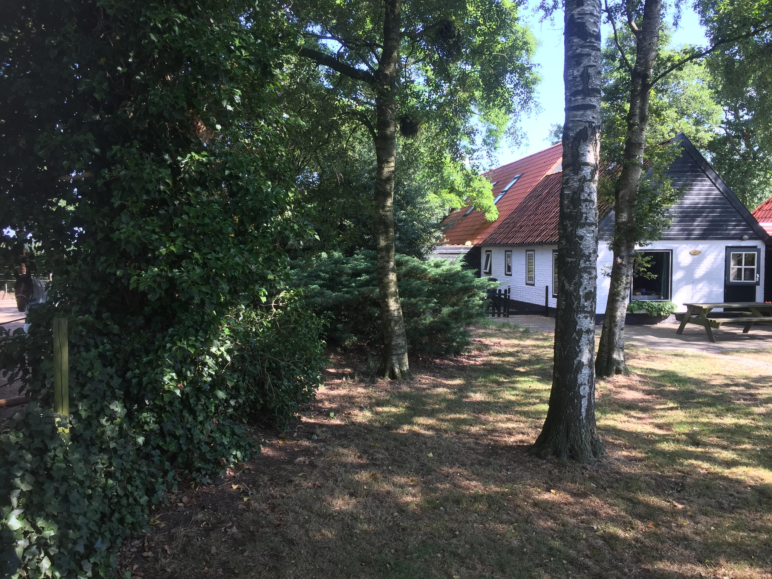 Natuurhuisje in Boijl