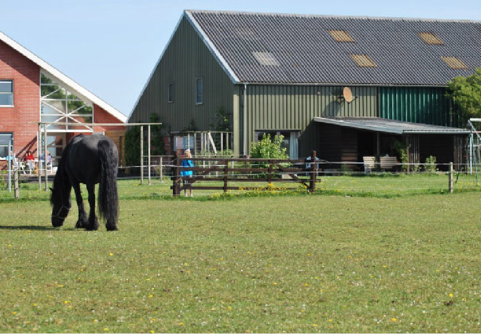 Naturhäuschen in Kollumerpomp