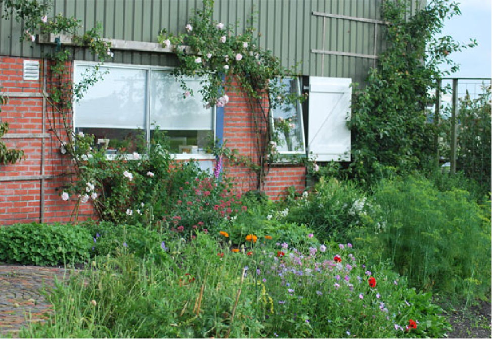 Naturhäuschen in Kollumerpomp