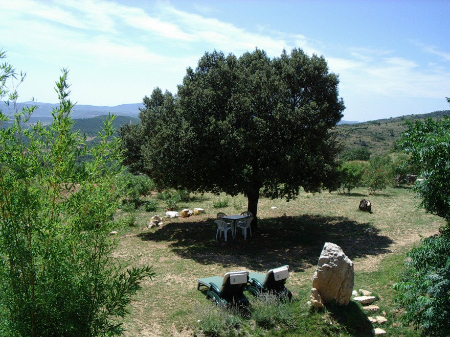 - image: 16