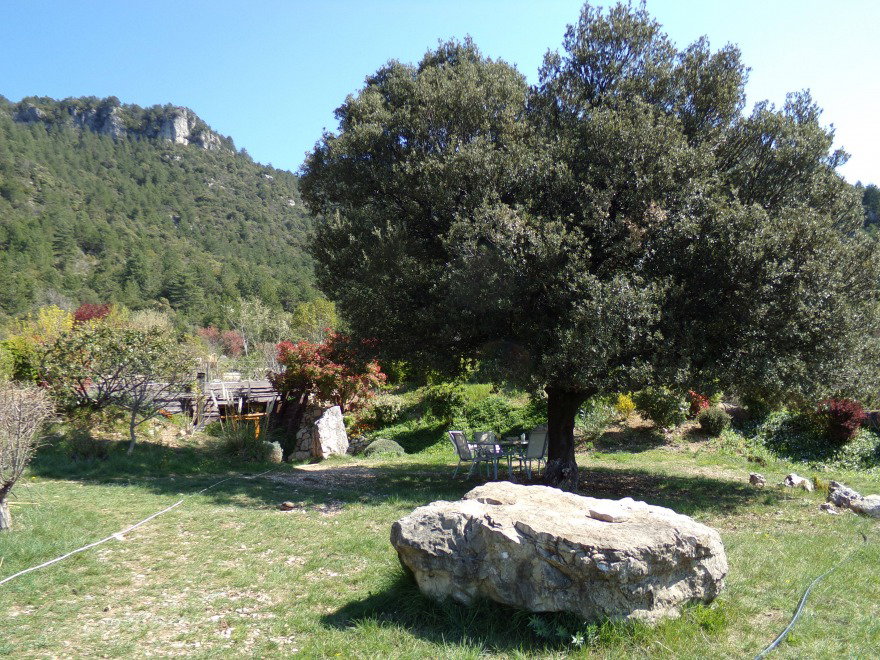 - image: 19