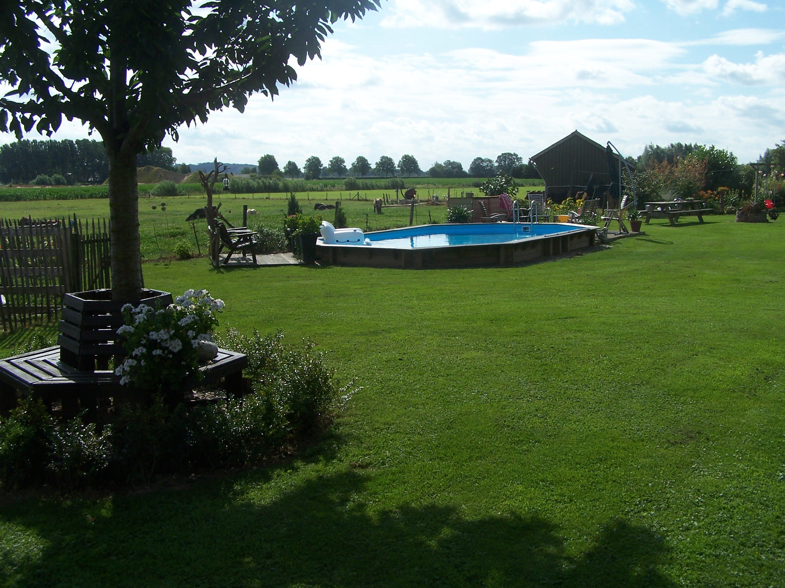 - image: 11