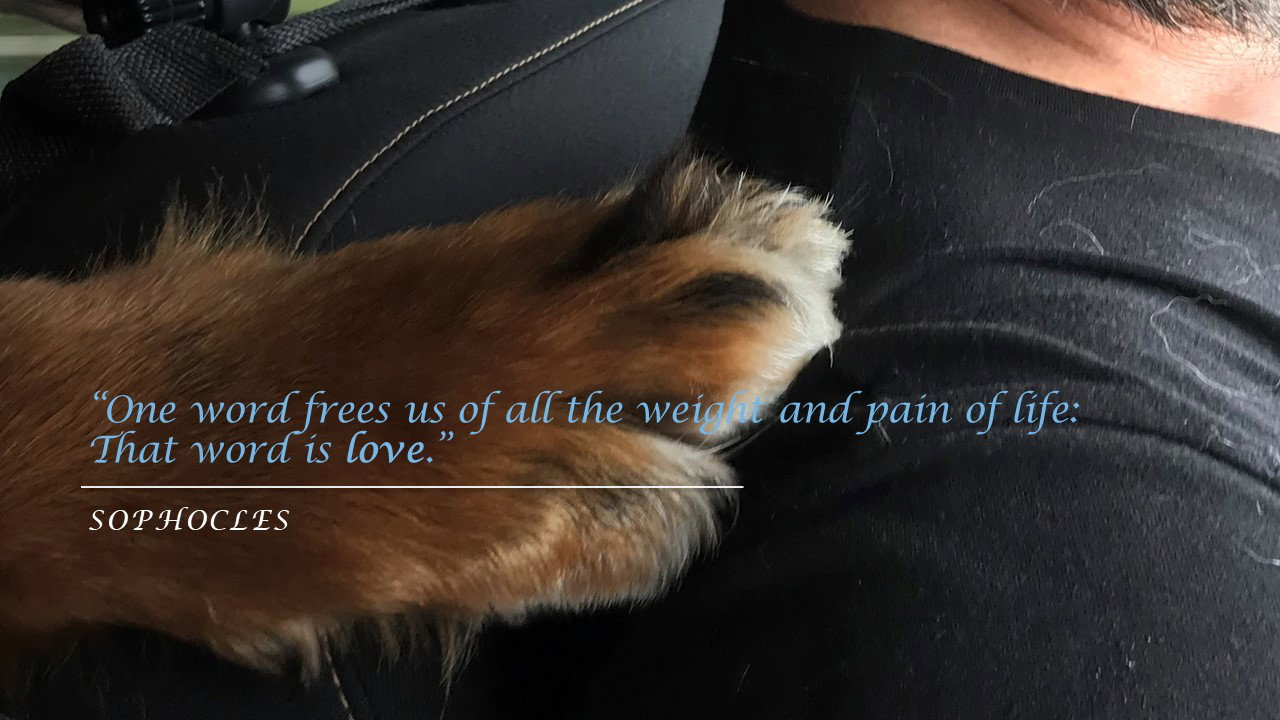 - image: 47