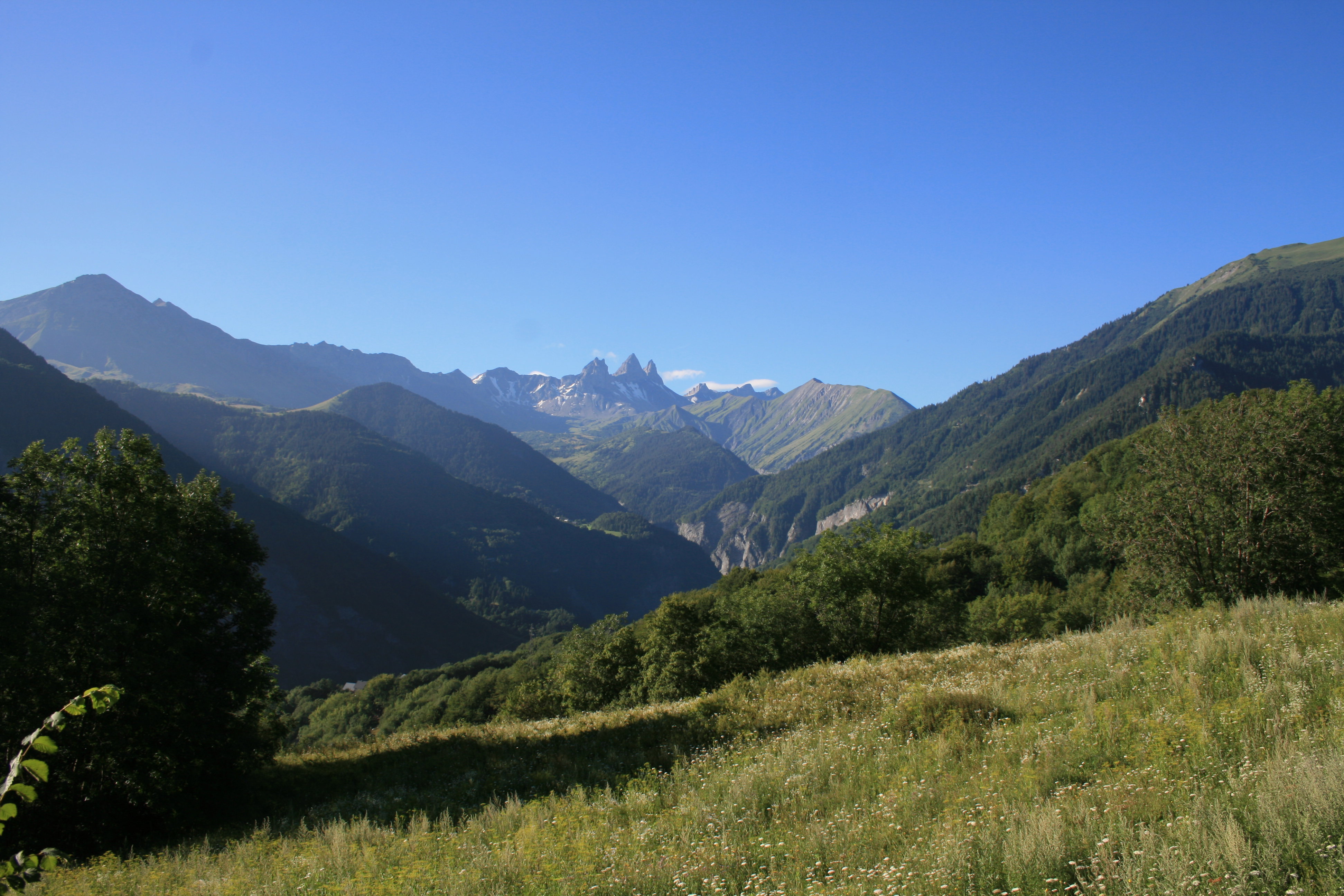 - image: 11