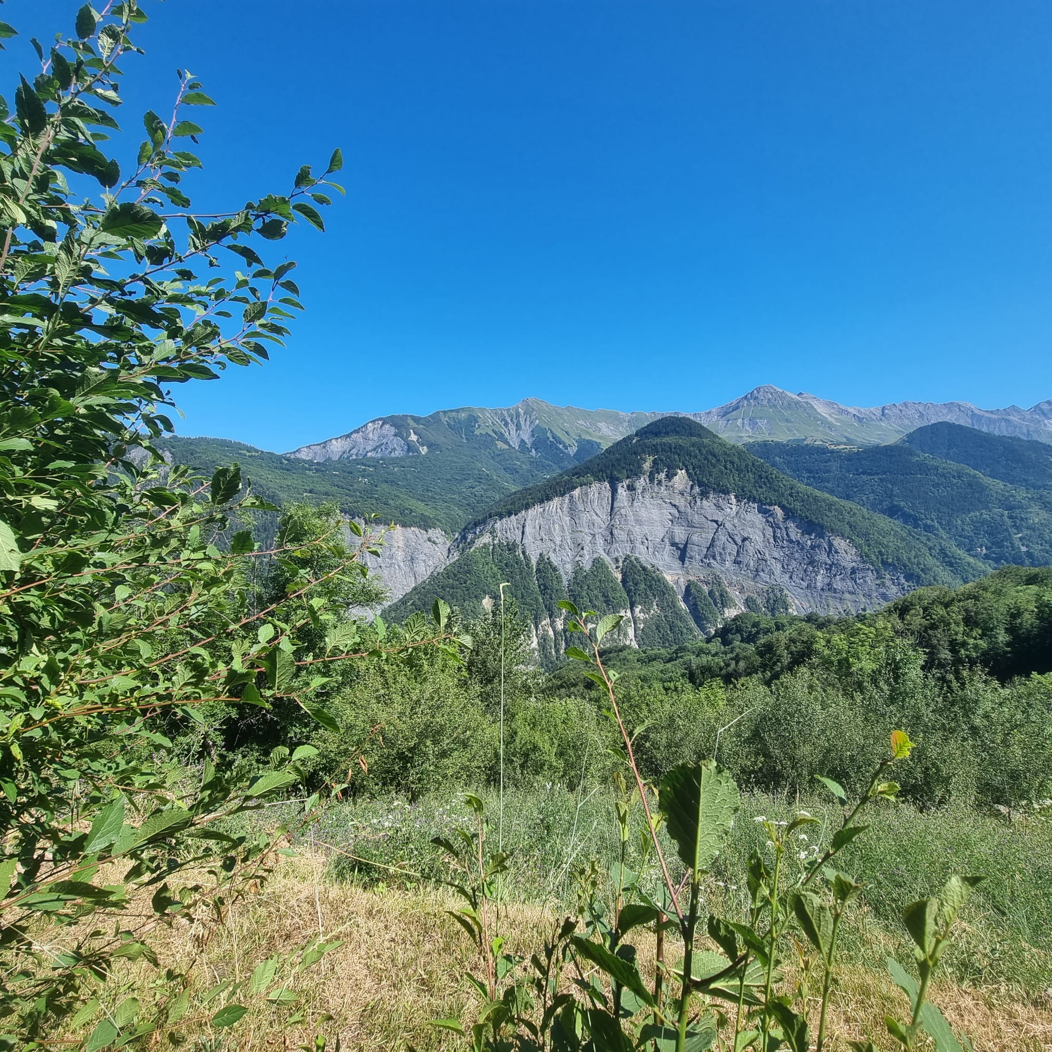 - image: 65