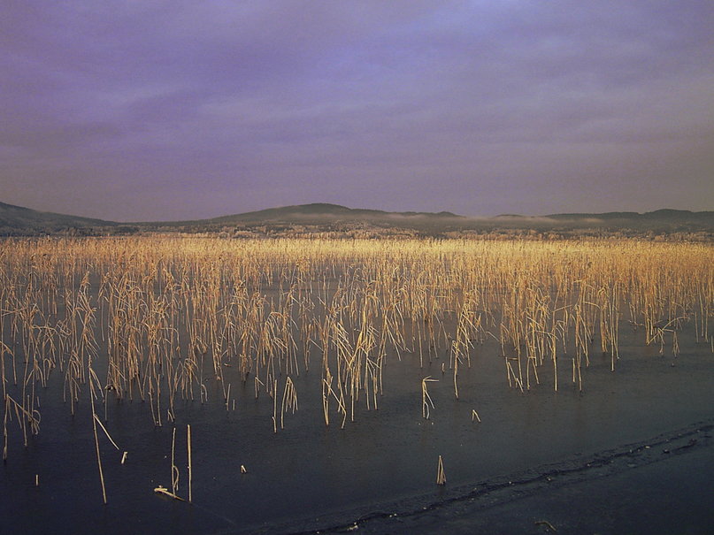- image: 25