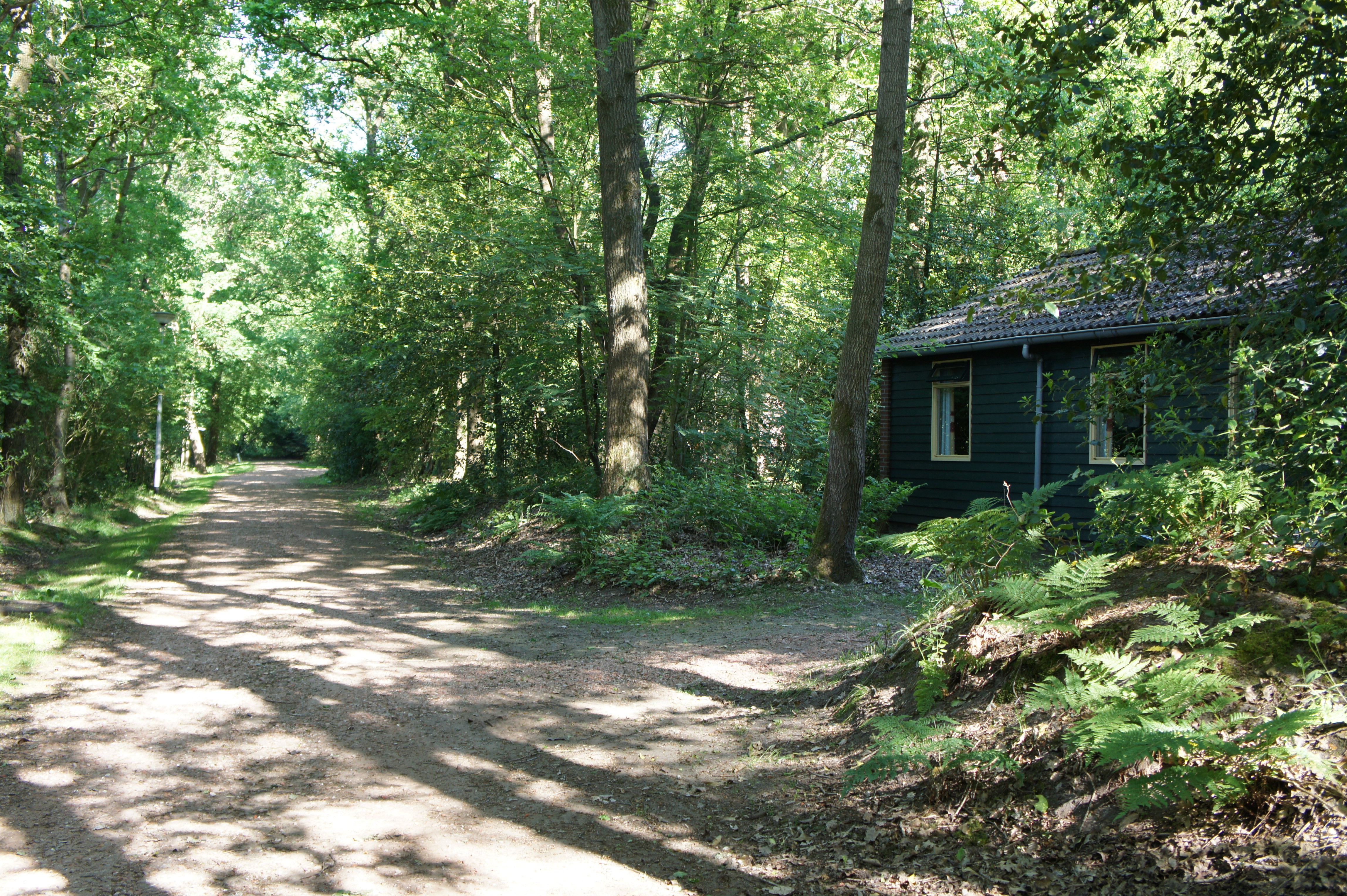 Nature house in Ruinen