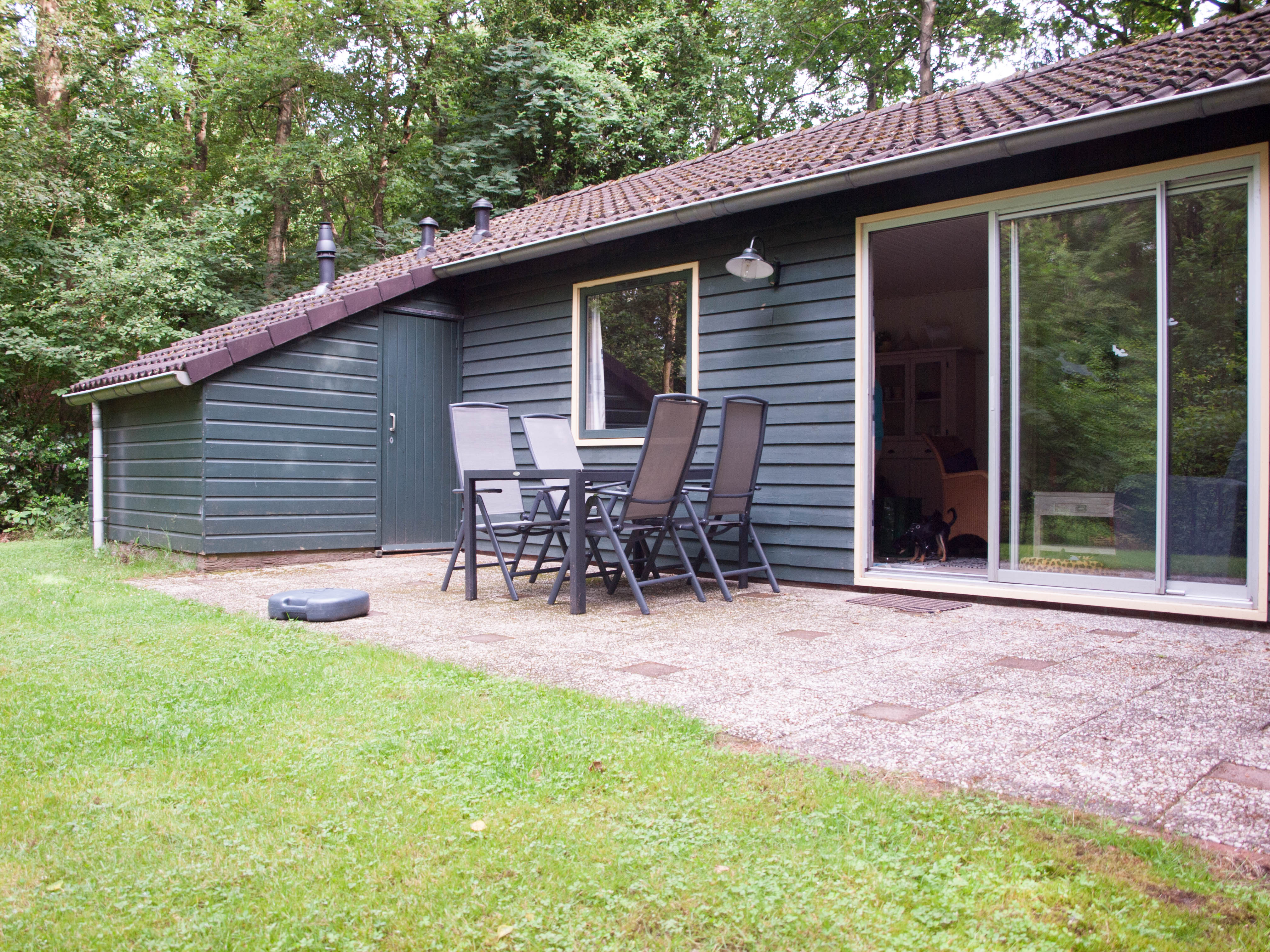 Maison nature à Ruinen
