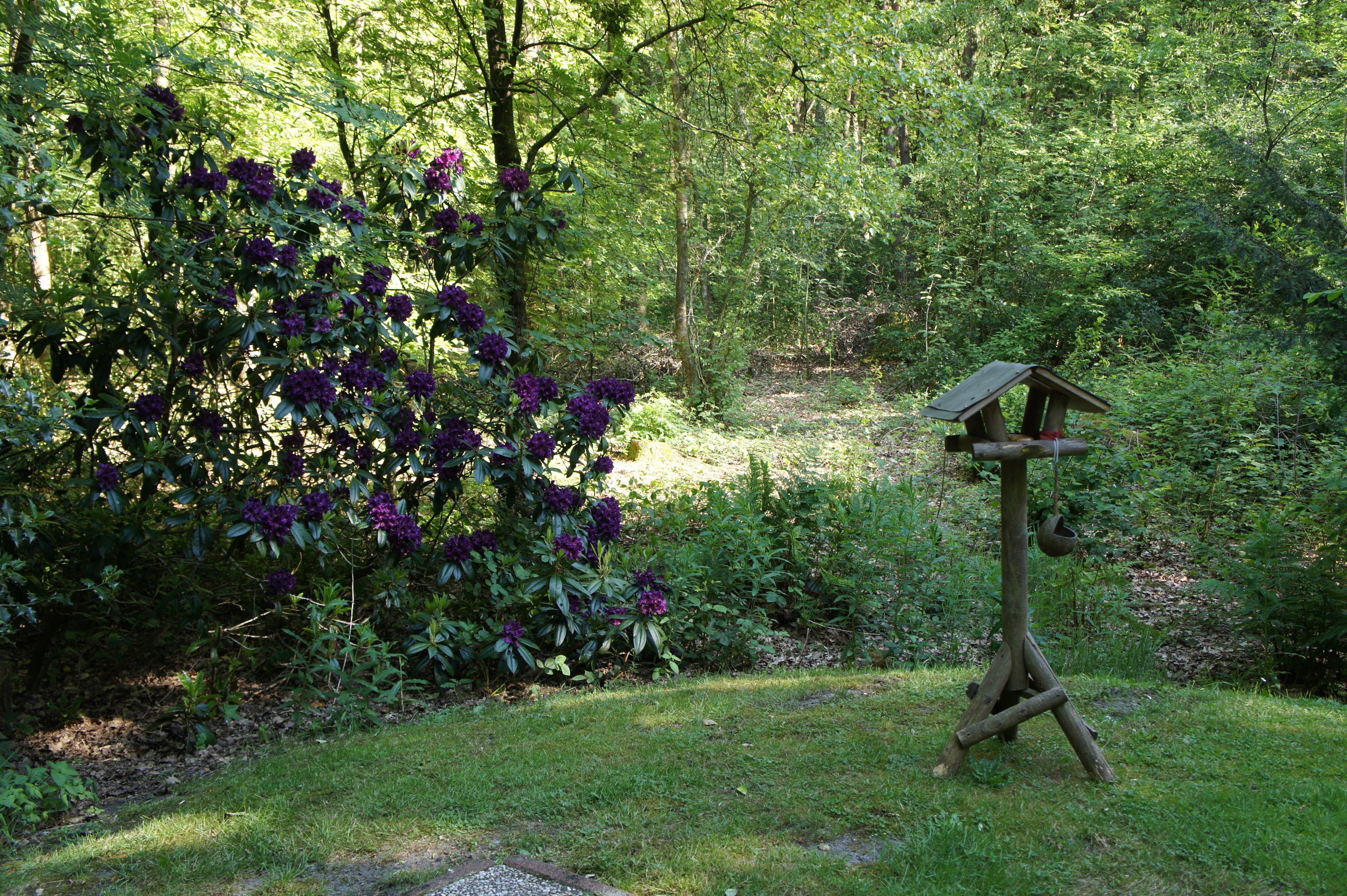 Nature house in Ruinen