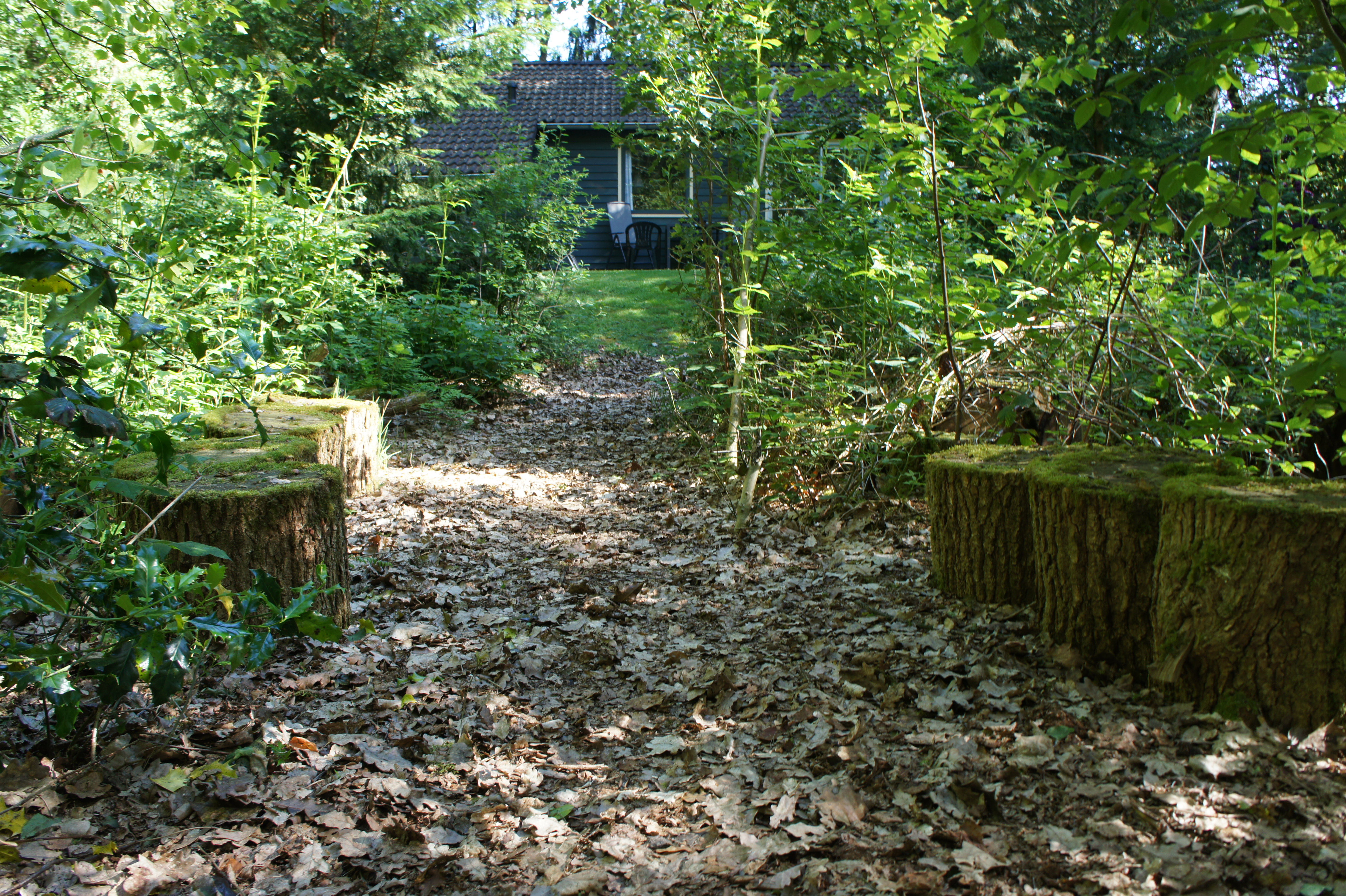 Nature house in Ruinen