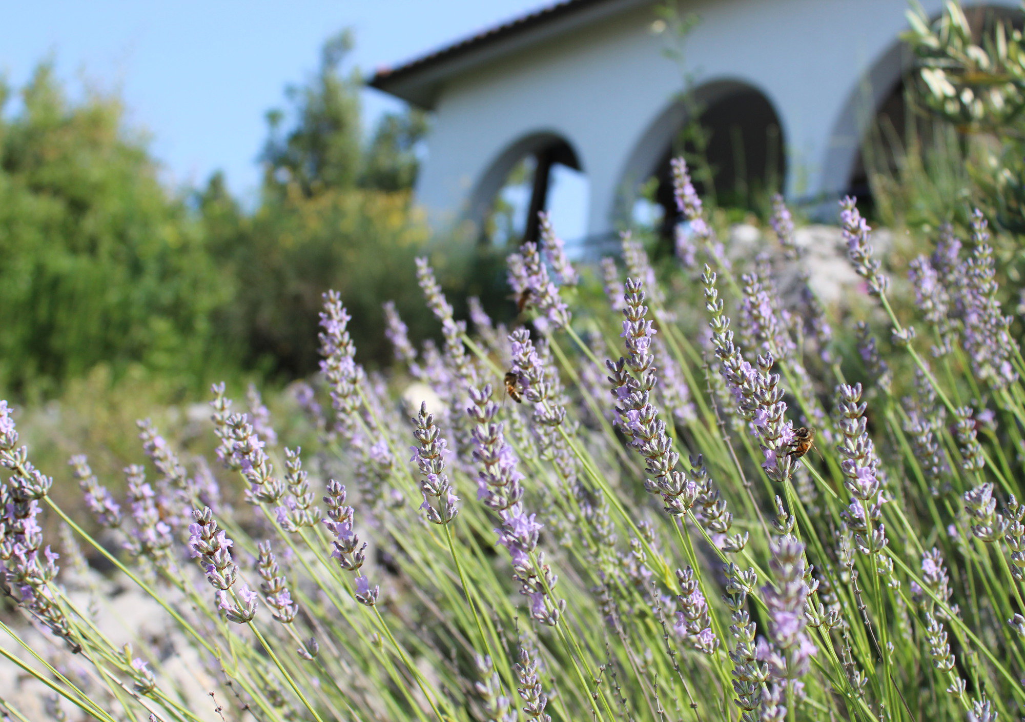 Casa nella natura a Poggio Catino