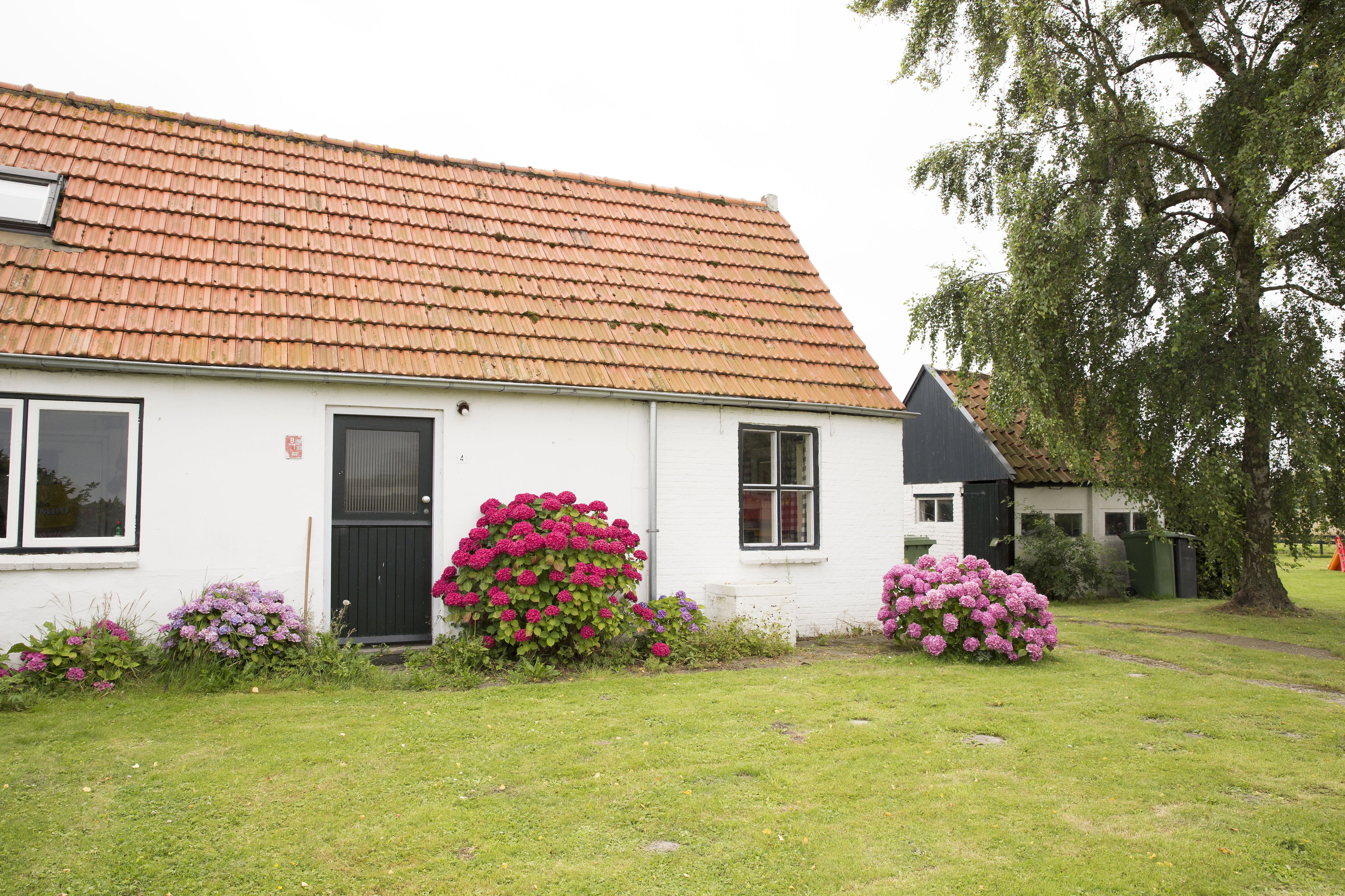 Maison nature à Schoondijke