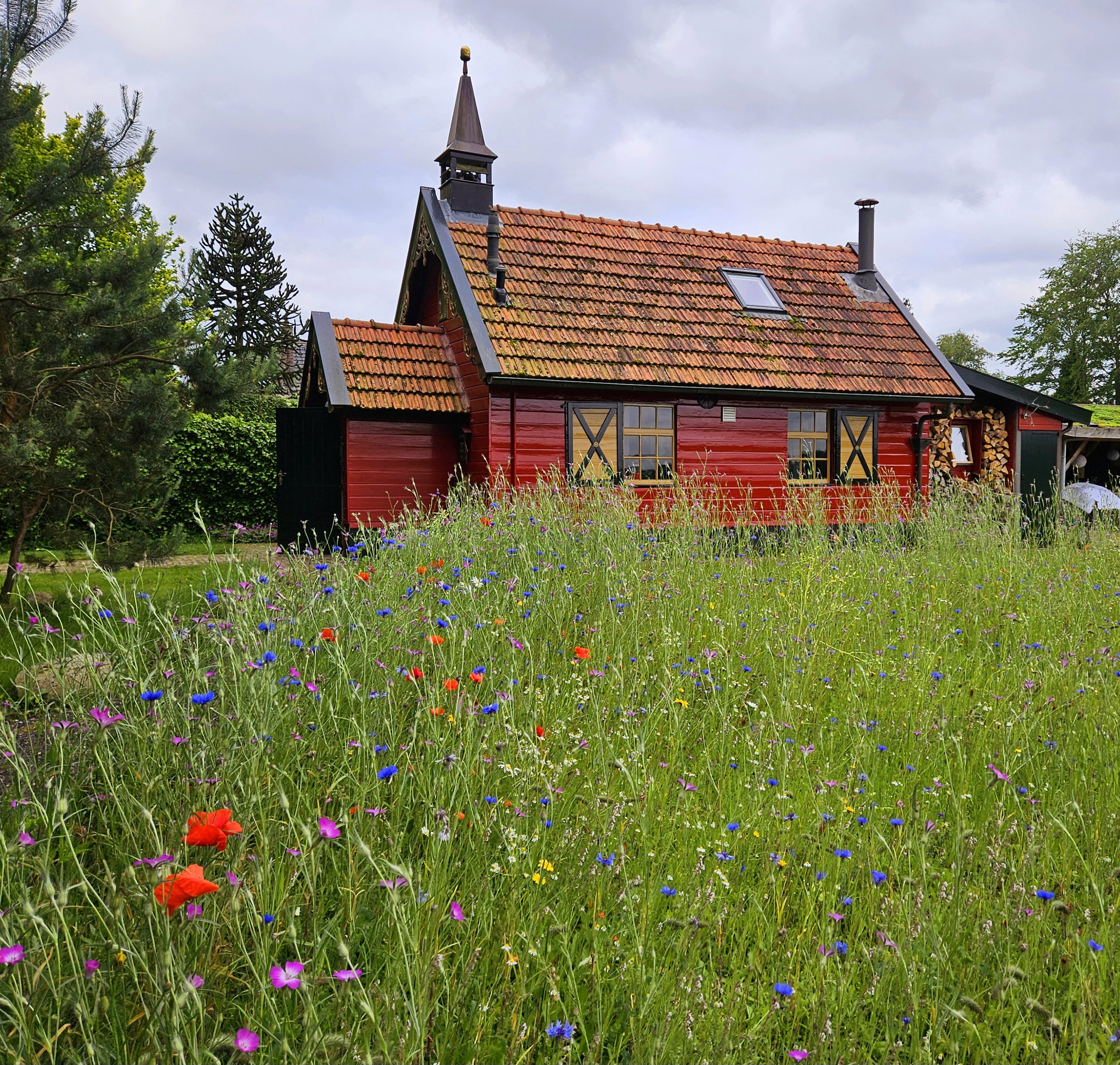 Nature house in Steggerda