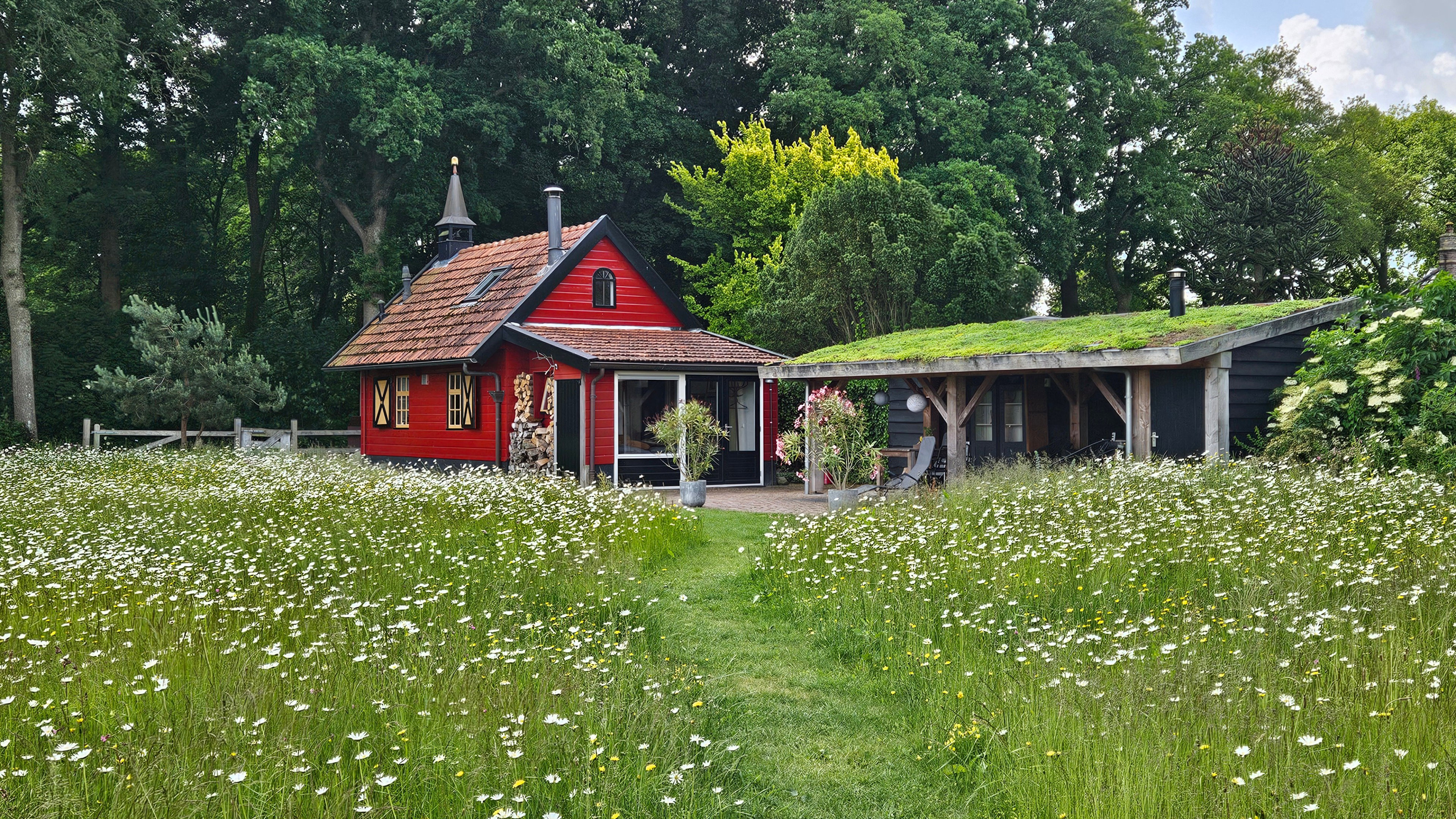 Nature house in Steggerda