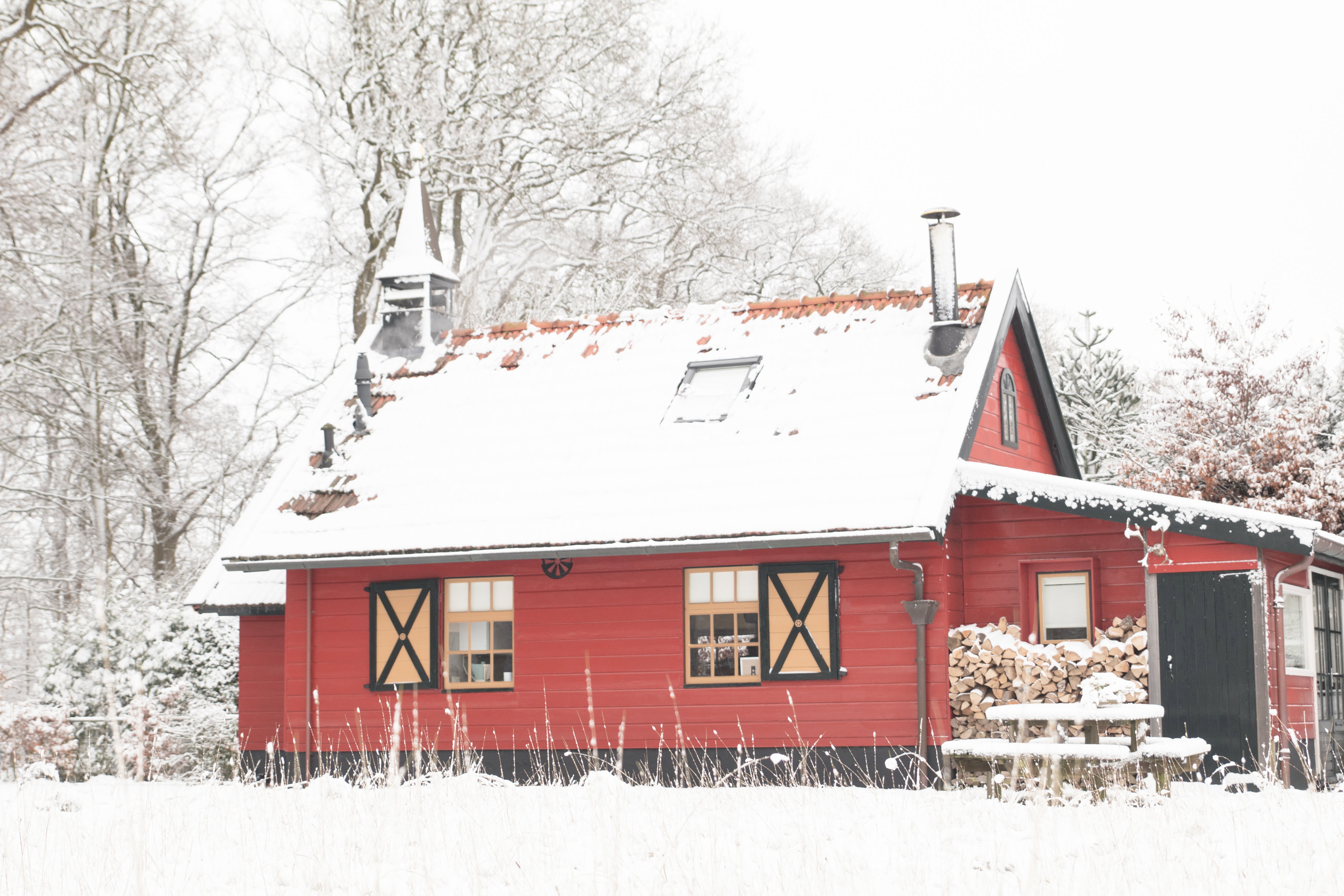 Nature house in Steggerda