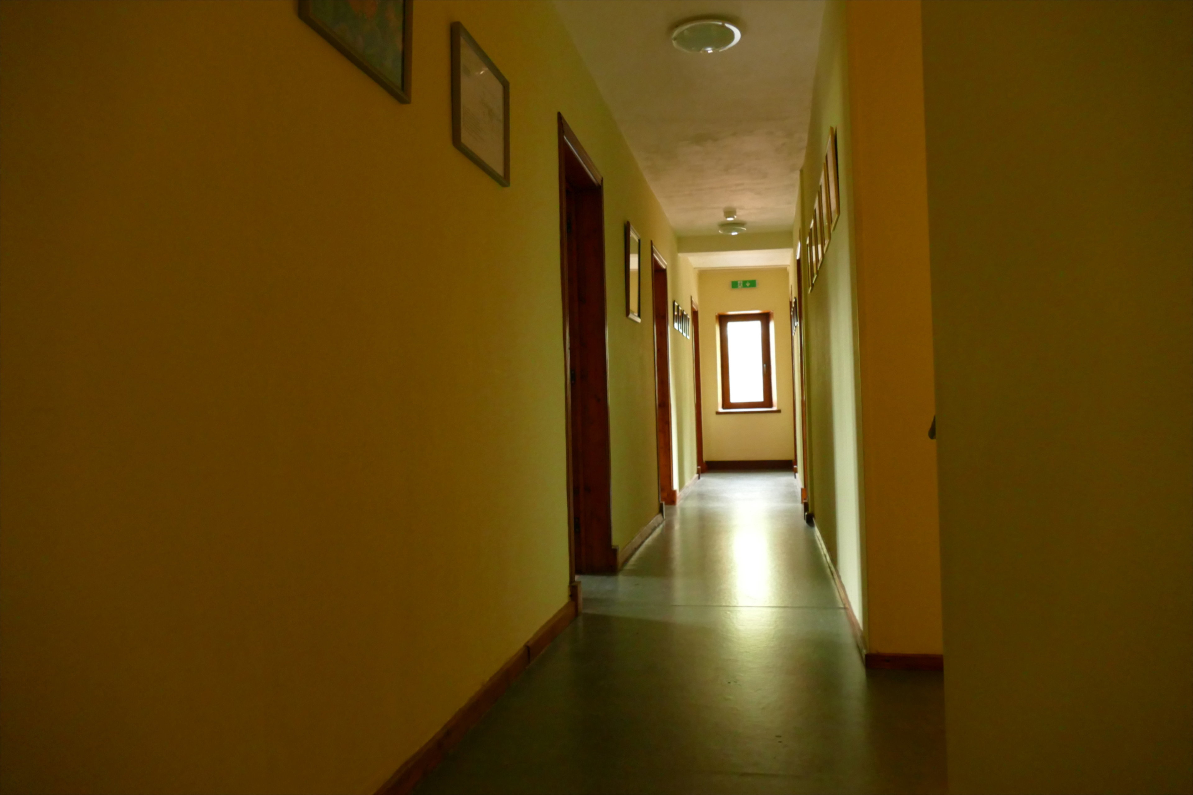 - image: 19