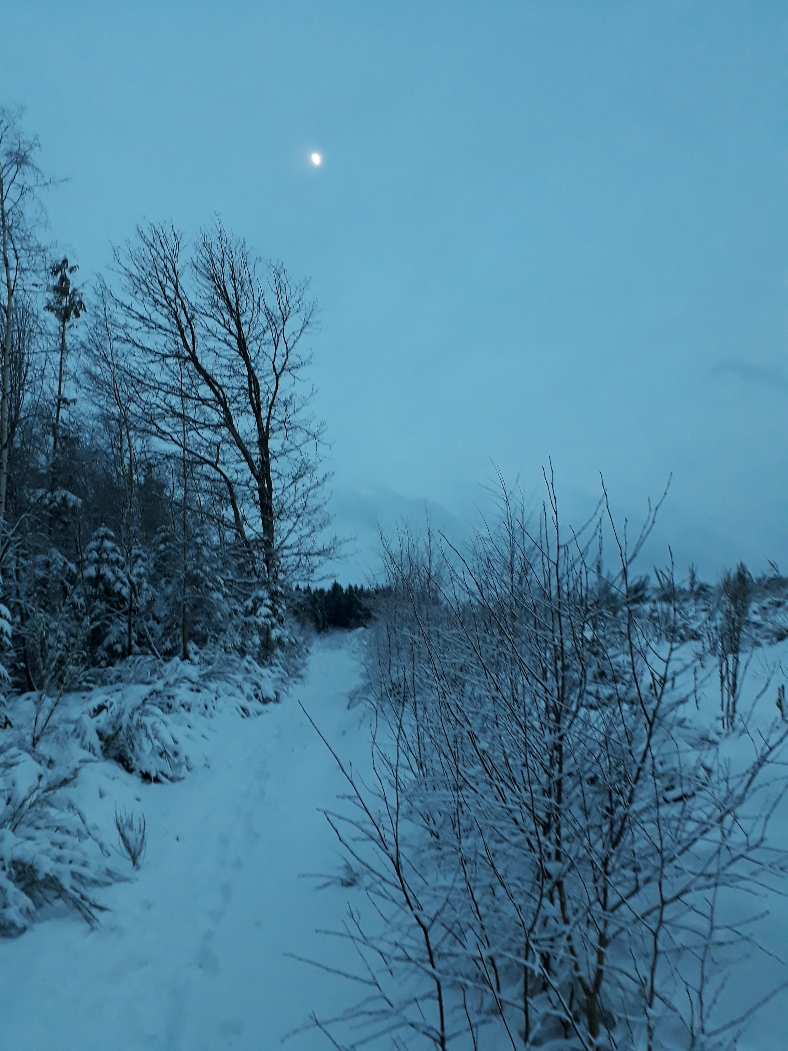 - image: 44