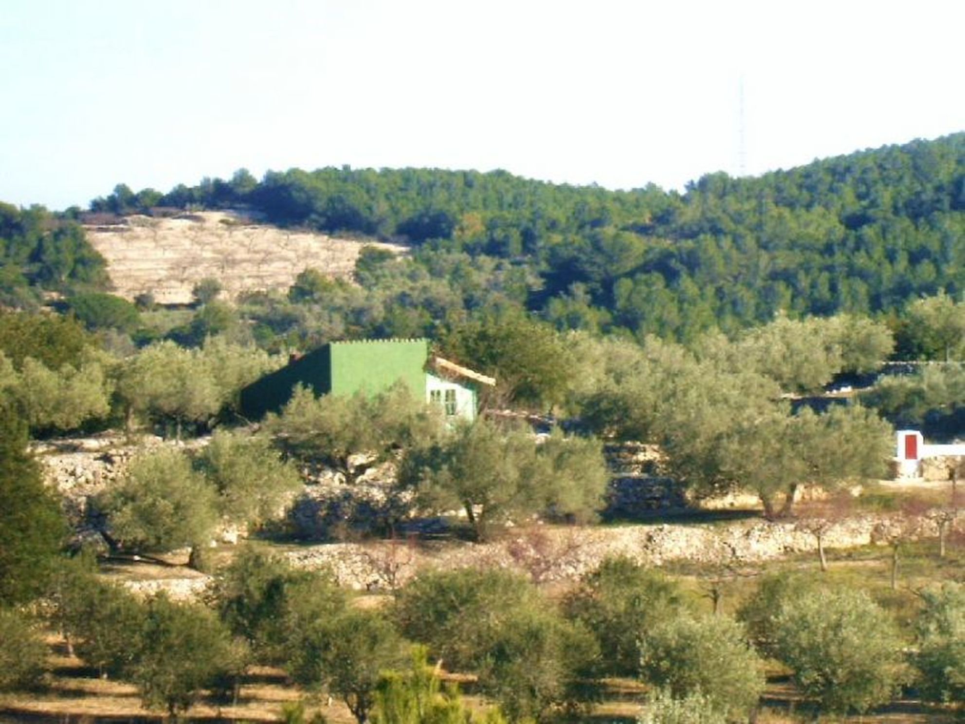 Naturhäuschen in El Perelló
