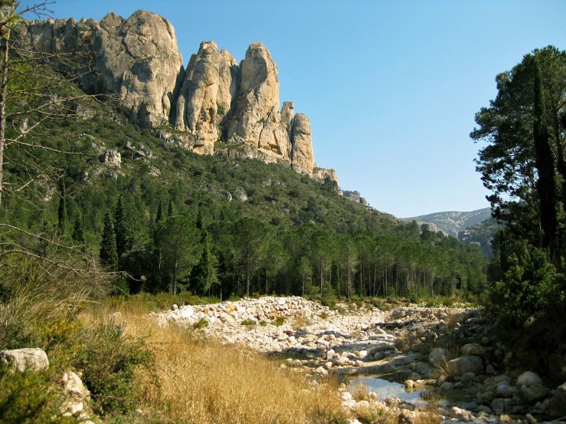 - image: 14