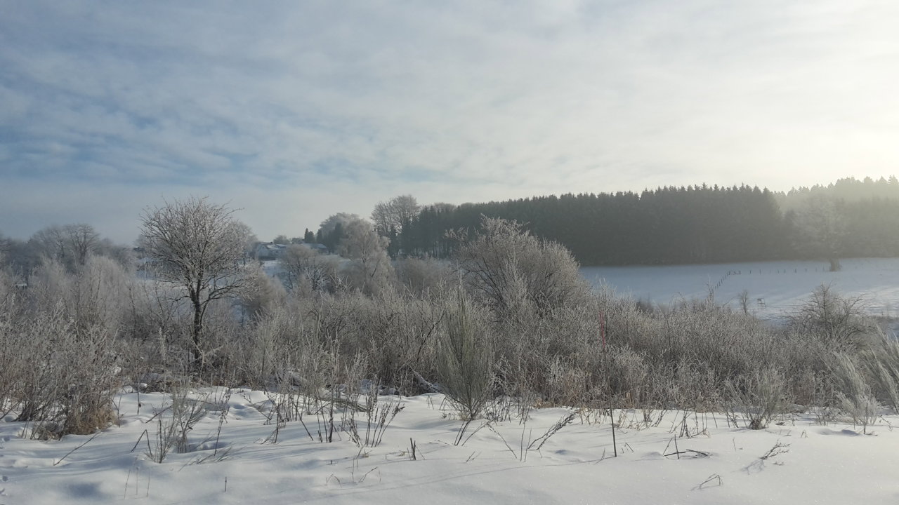- image: 21